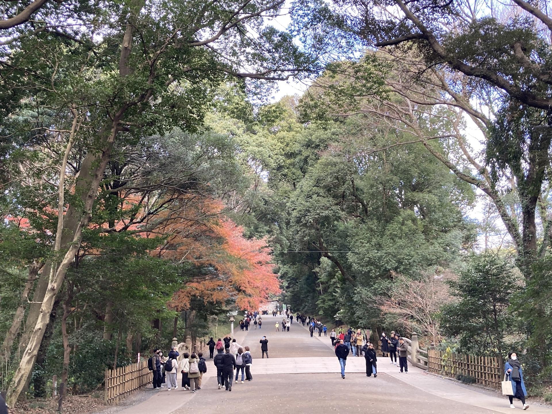 Tokyo: Meiji Jingu Historical Walking Tour with an expert guide - Thumbnail 5