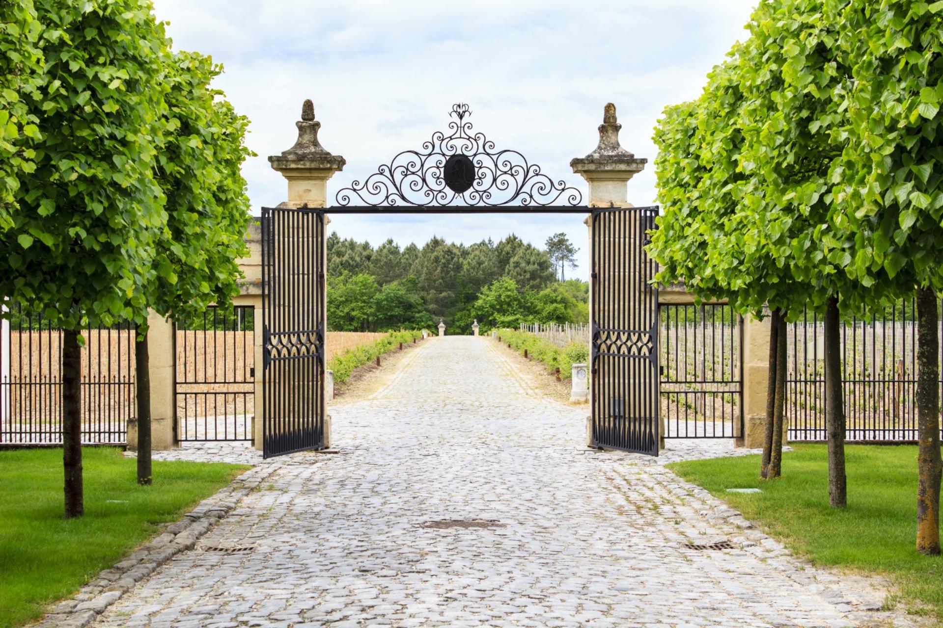 Saint-Emilion Wines and Village One Day Tour from Bordeaux - Thumbnail 5