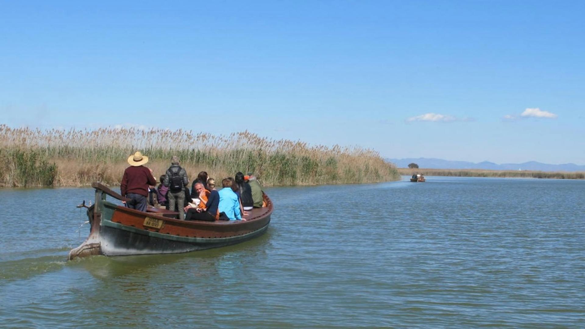 Boat cruise experience and bus trip in Albufera Natural Park   - Image 1