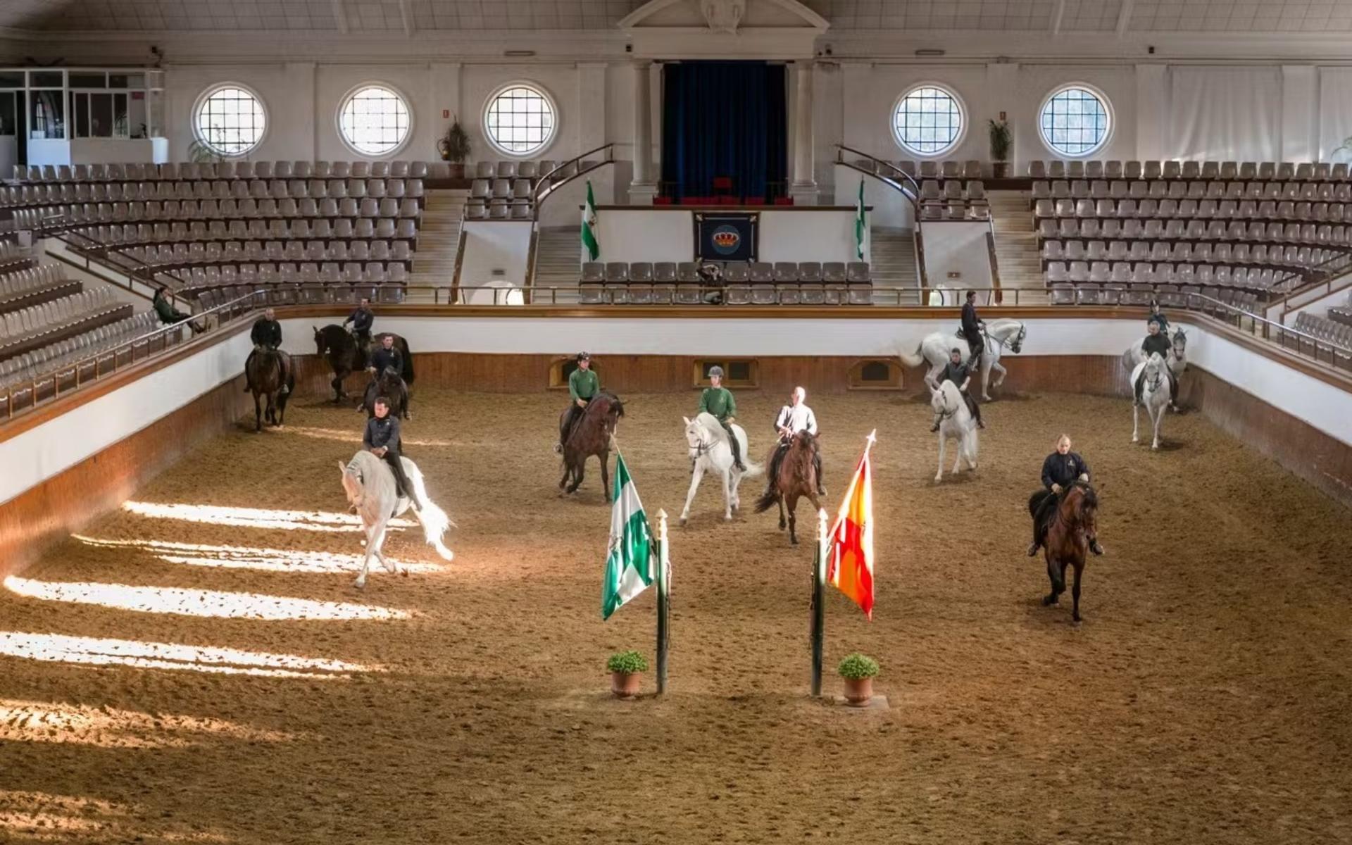 Royal Andalusian School of Equestrian Art full visit experience - Thumbnail 3