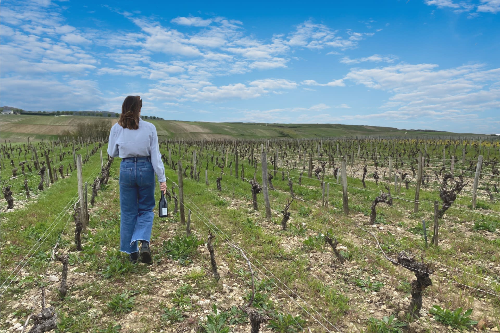 Sancerre Wine Tasting and Lunch Tour from Paris - Thumbnail 7