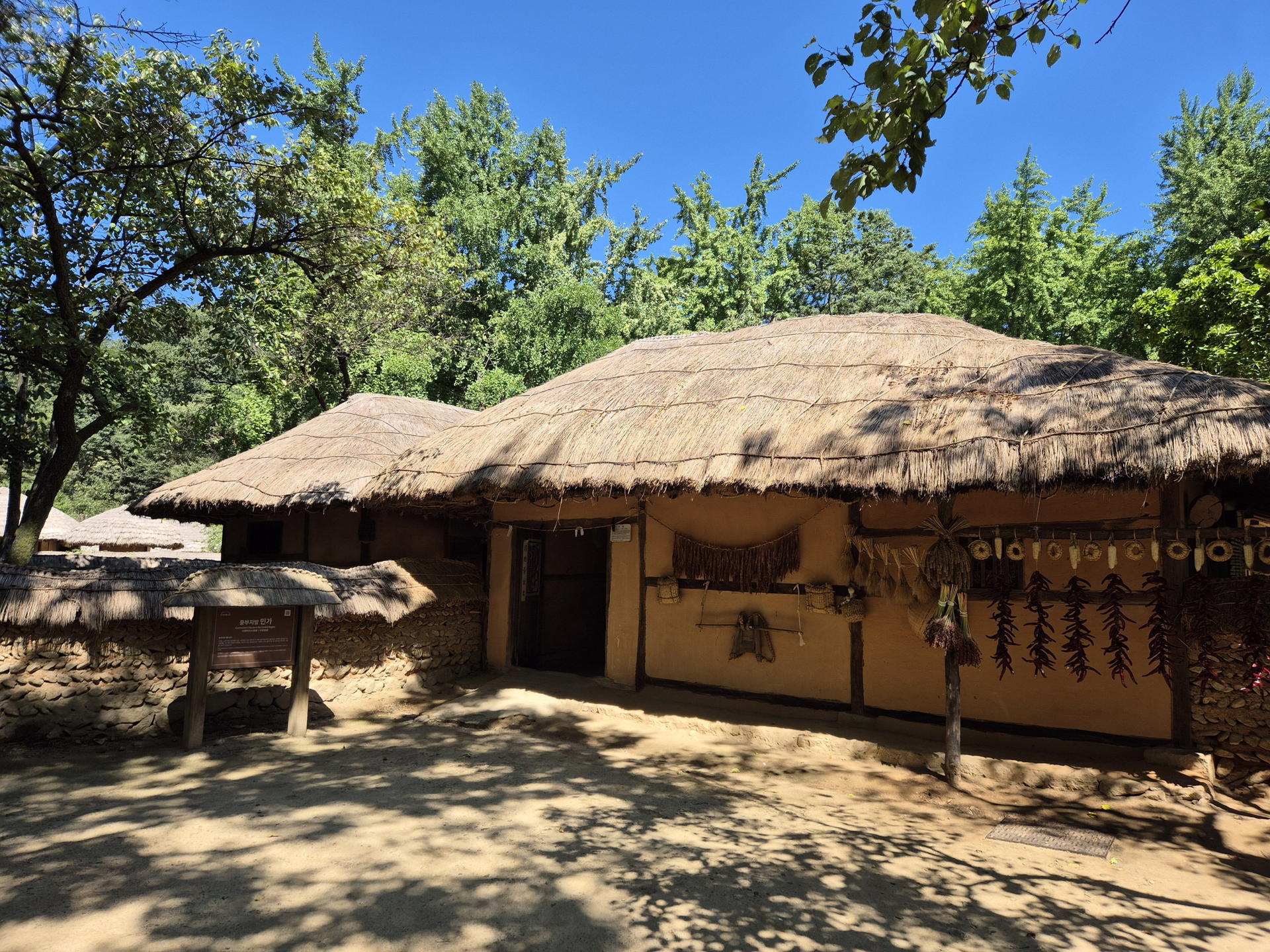 Don't waste your layover : Discover the hidden gems from Airport - Thumbnail 29