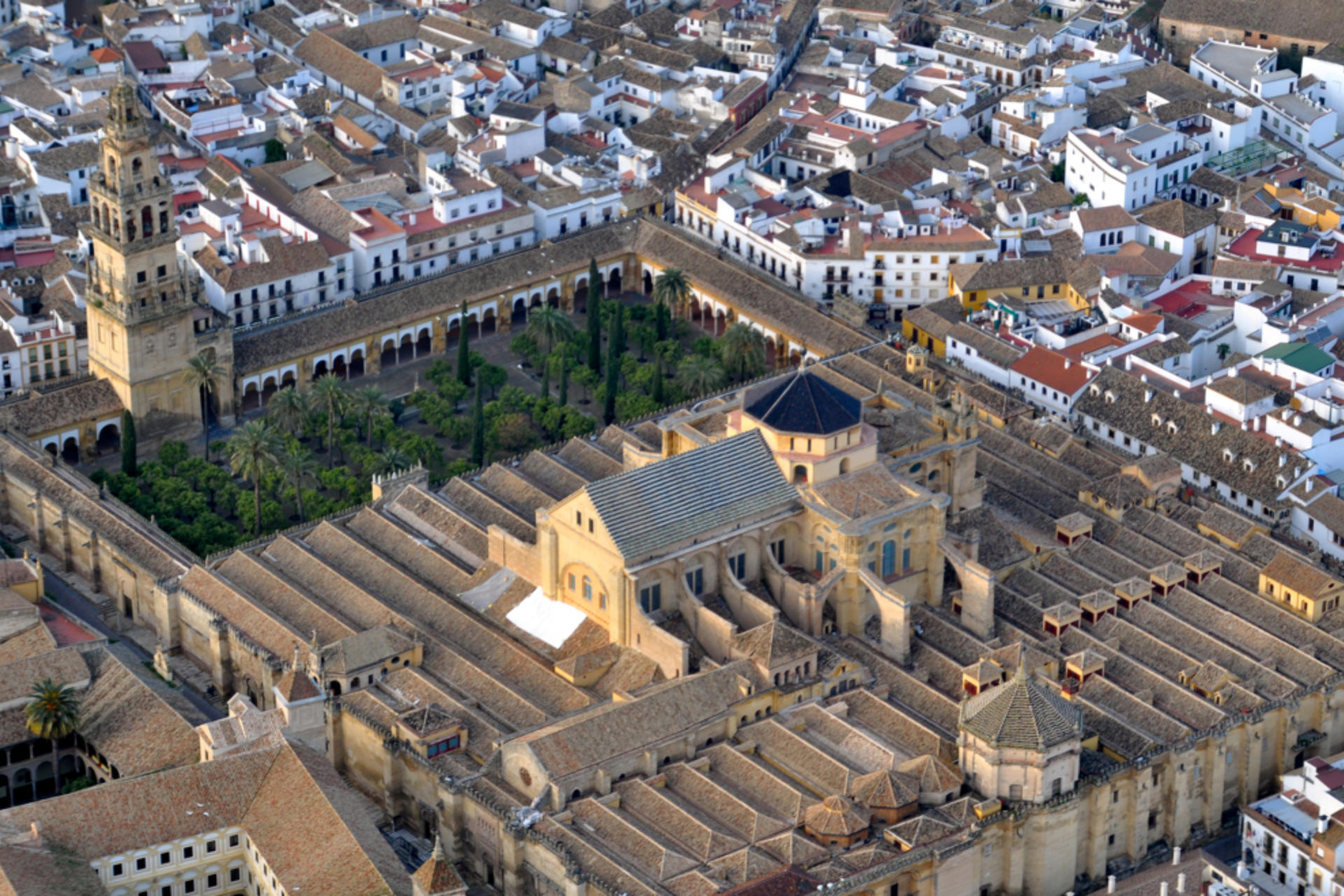 Cordoba One Day Tour from Granada - Thumbnail 3