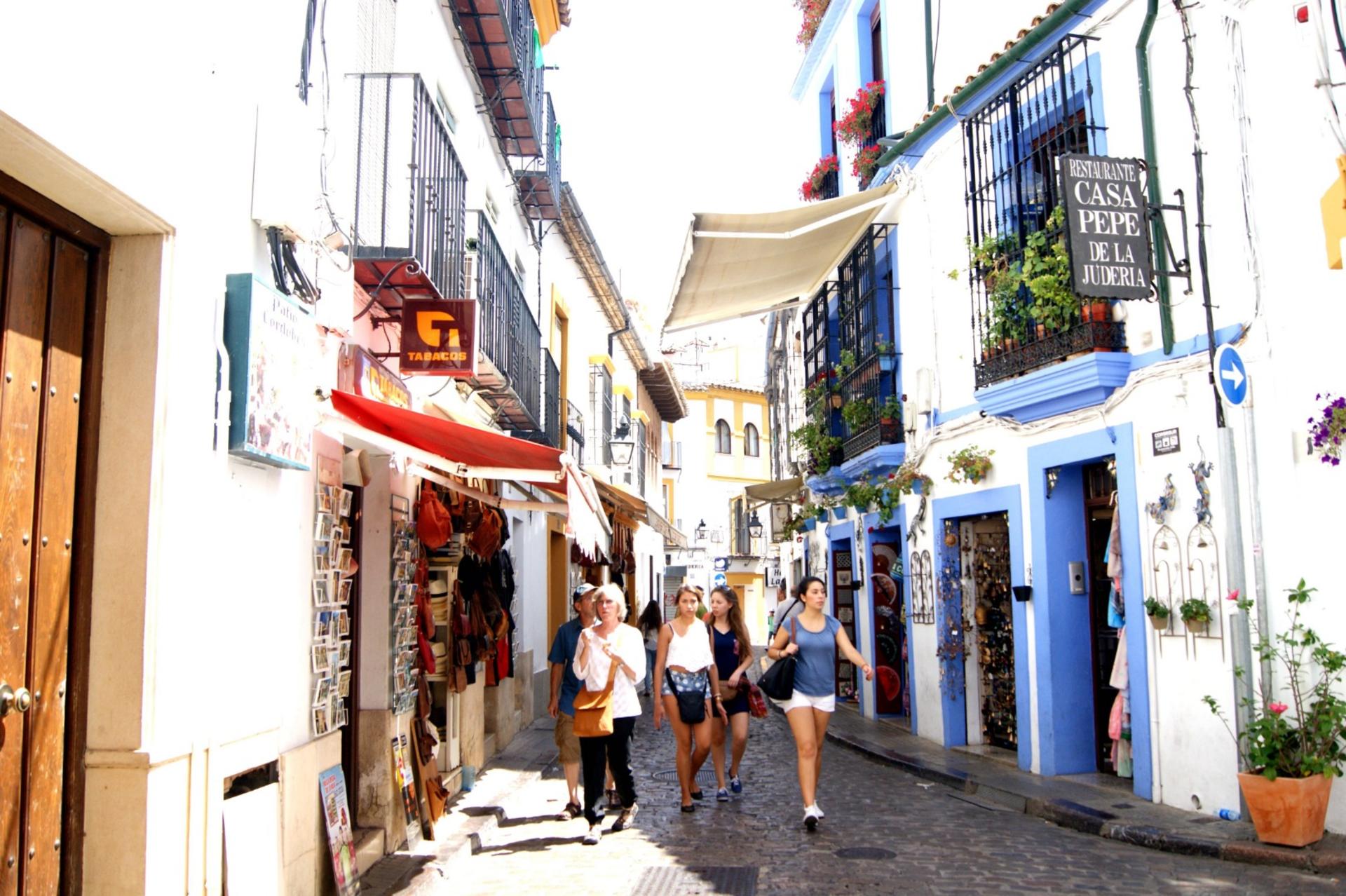 Cordoba Day Tour from Malaga - Thumbnail 5