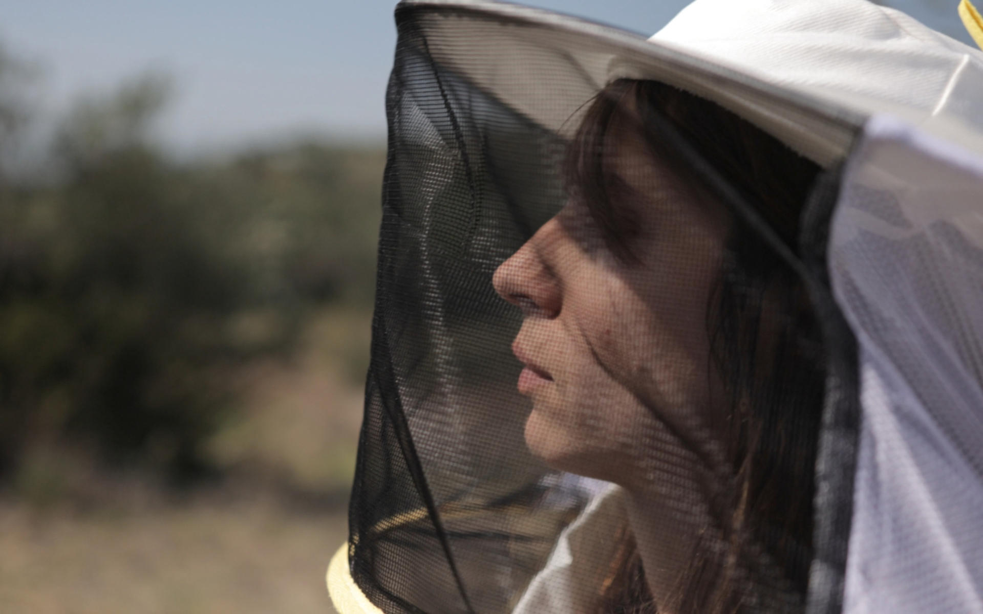 Beekeeping Experience and Honey Tasting in Kalamata - Thumbnail 3