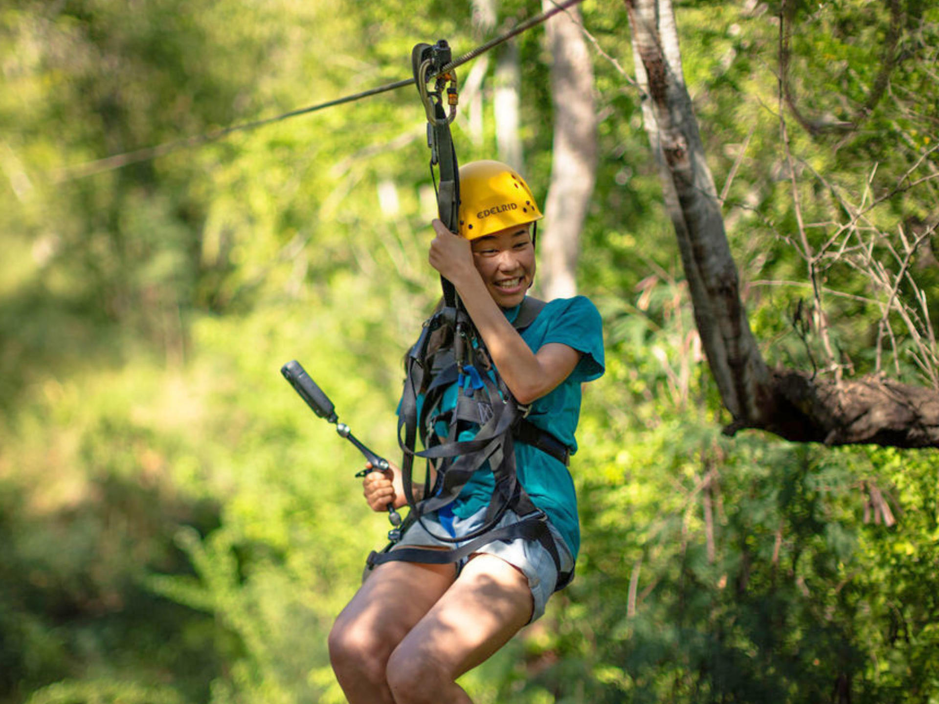 Zipline & Dolphin Watching Snorkel Adventure in Oahu - Image 1