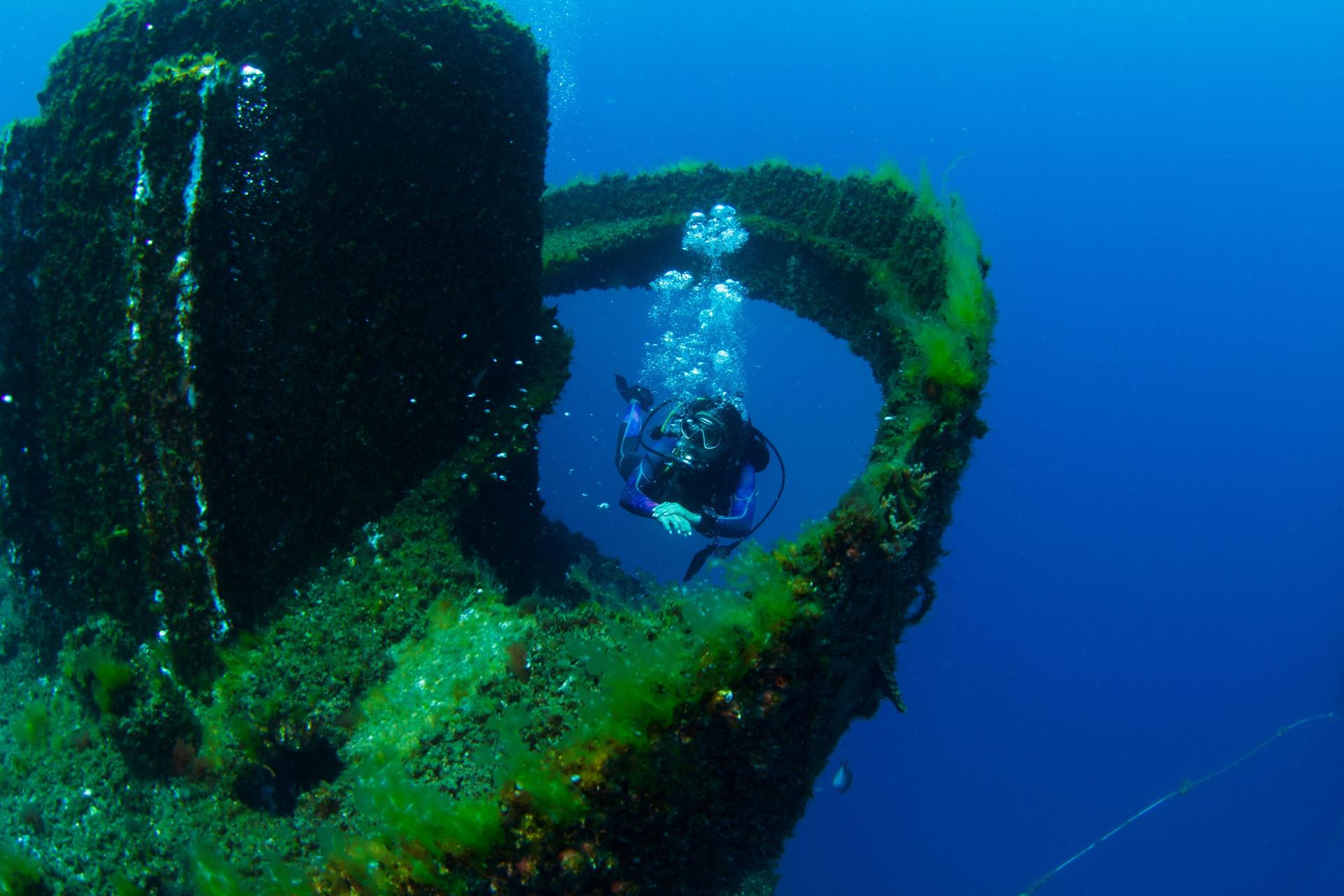 Wonder Reef Diving Experience in Gold Coast - Thumbnail 4