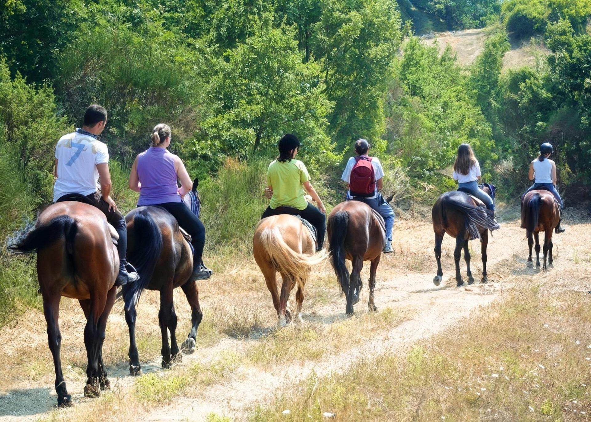 Tuscan Chianti Hills Horseback Riding Tour - Thumbnail 4