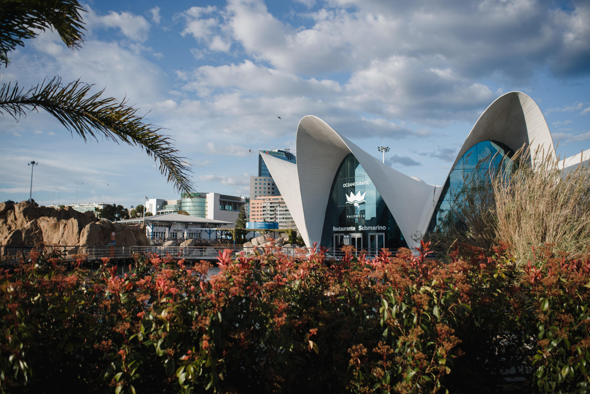 Oceanografic Aquarium Admission in Valencia - Thumbnail 3