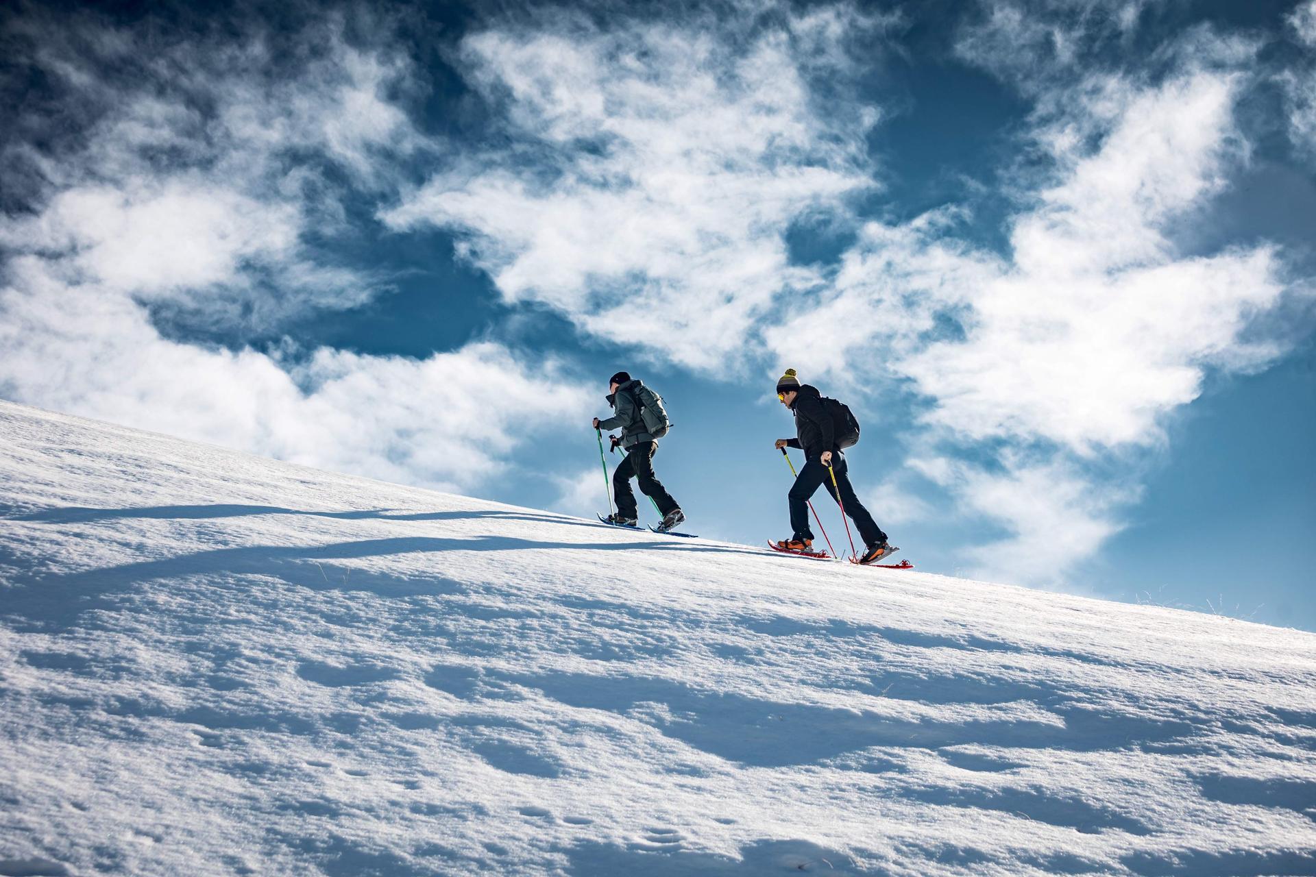 Panoramic snowshoeing in Bousson: one hour from Turin - Image 1