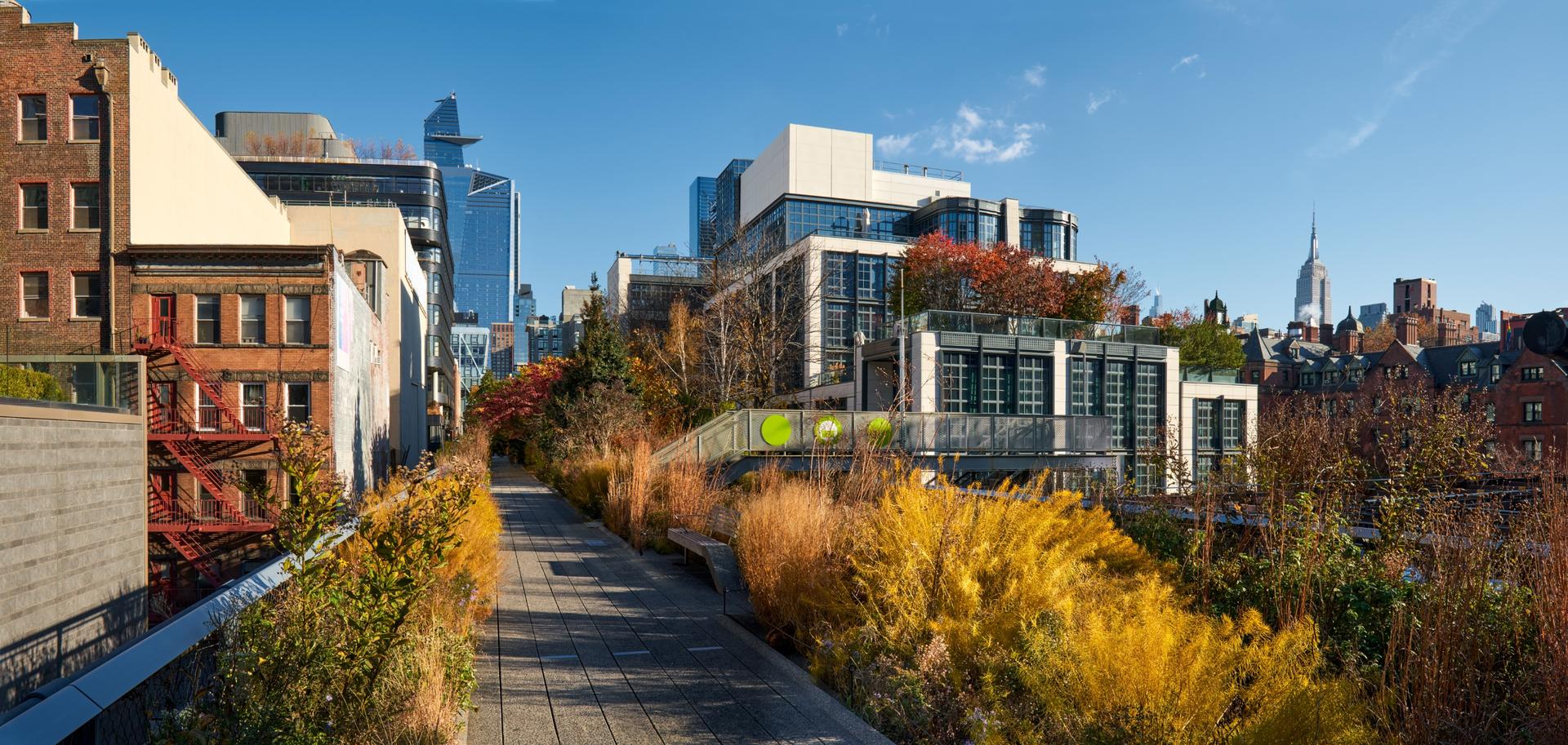 Hudson Yards Tour With Optional Edge Upgrade