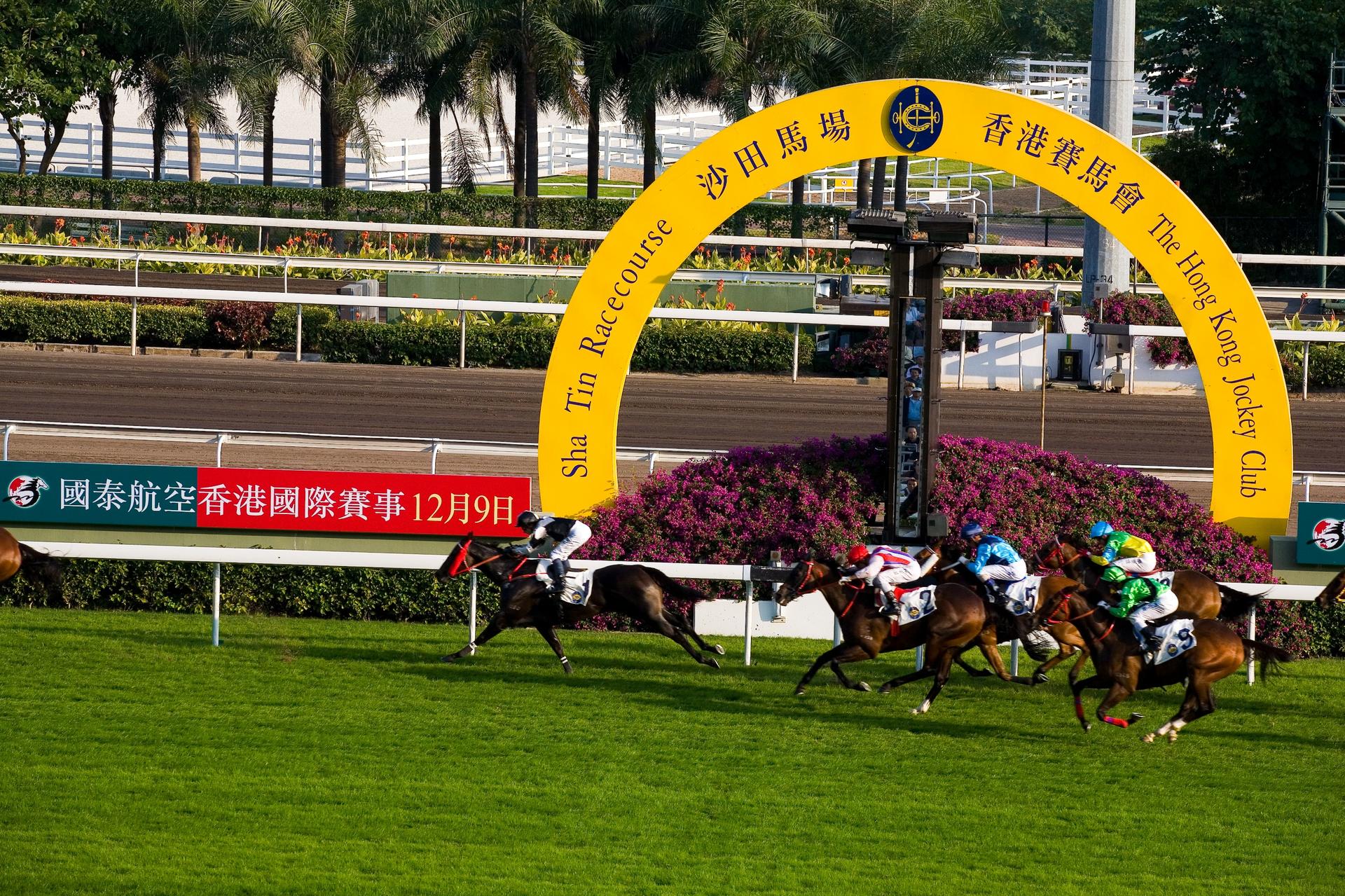 Hong Kong Jockey Club Sha Tin Racecourse Transfer (Guangdong Departure) - Thumbnail 2