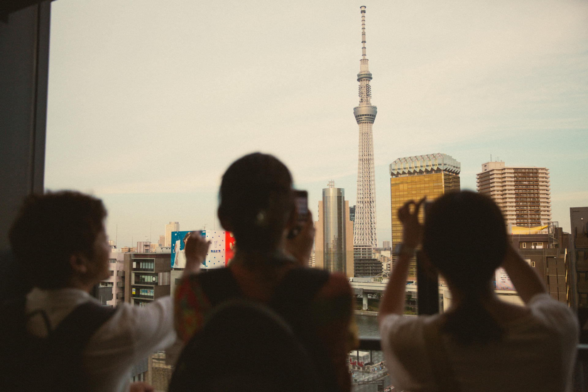 Tokyo Private Tour: Custom Highlights with a Licensed Guide - Thumbnail 26