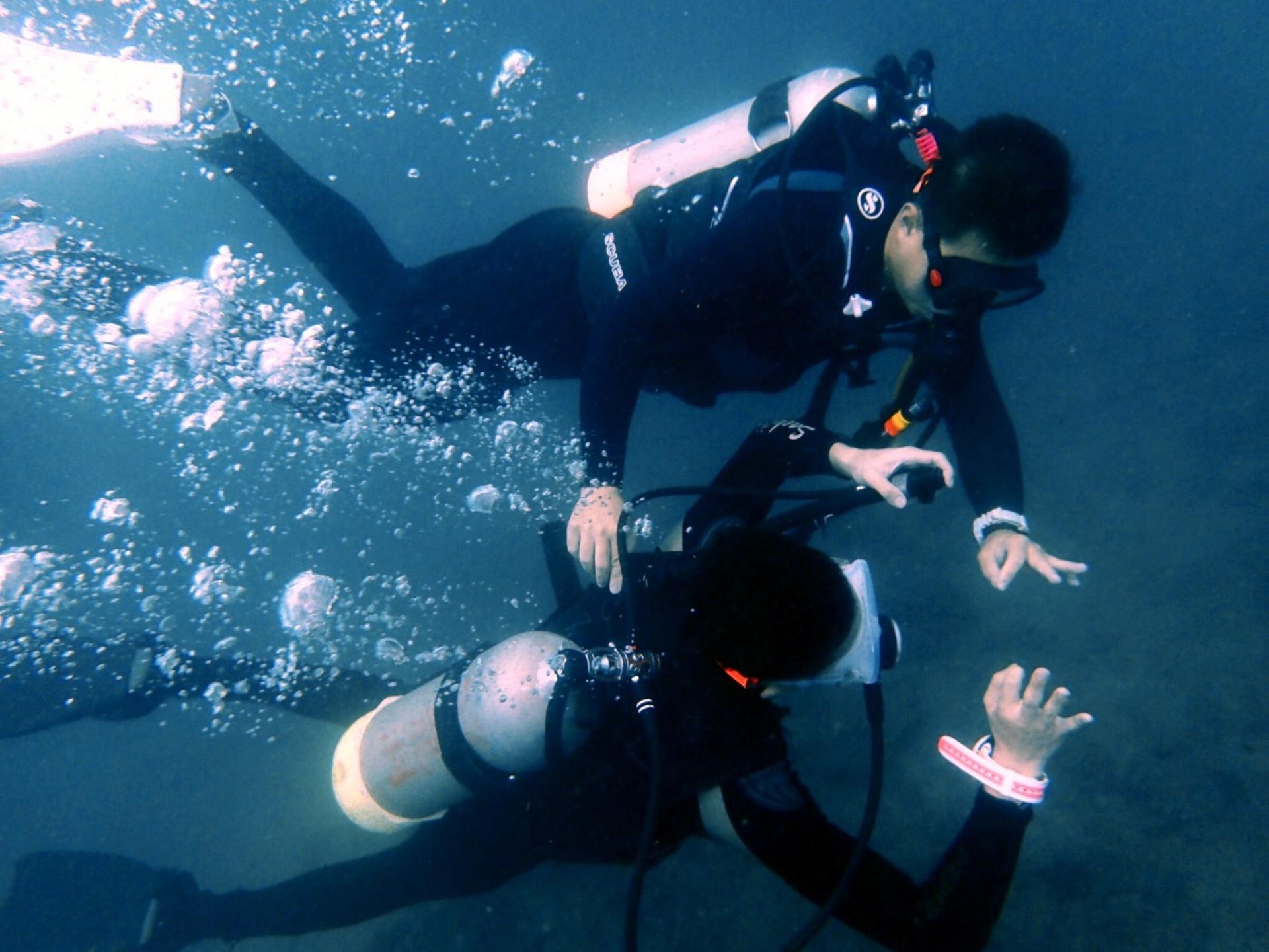 New Taipei City, Gongliao Longdong Diving Experience, No License R - Thumbnail 5