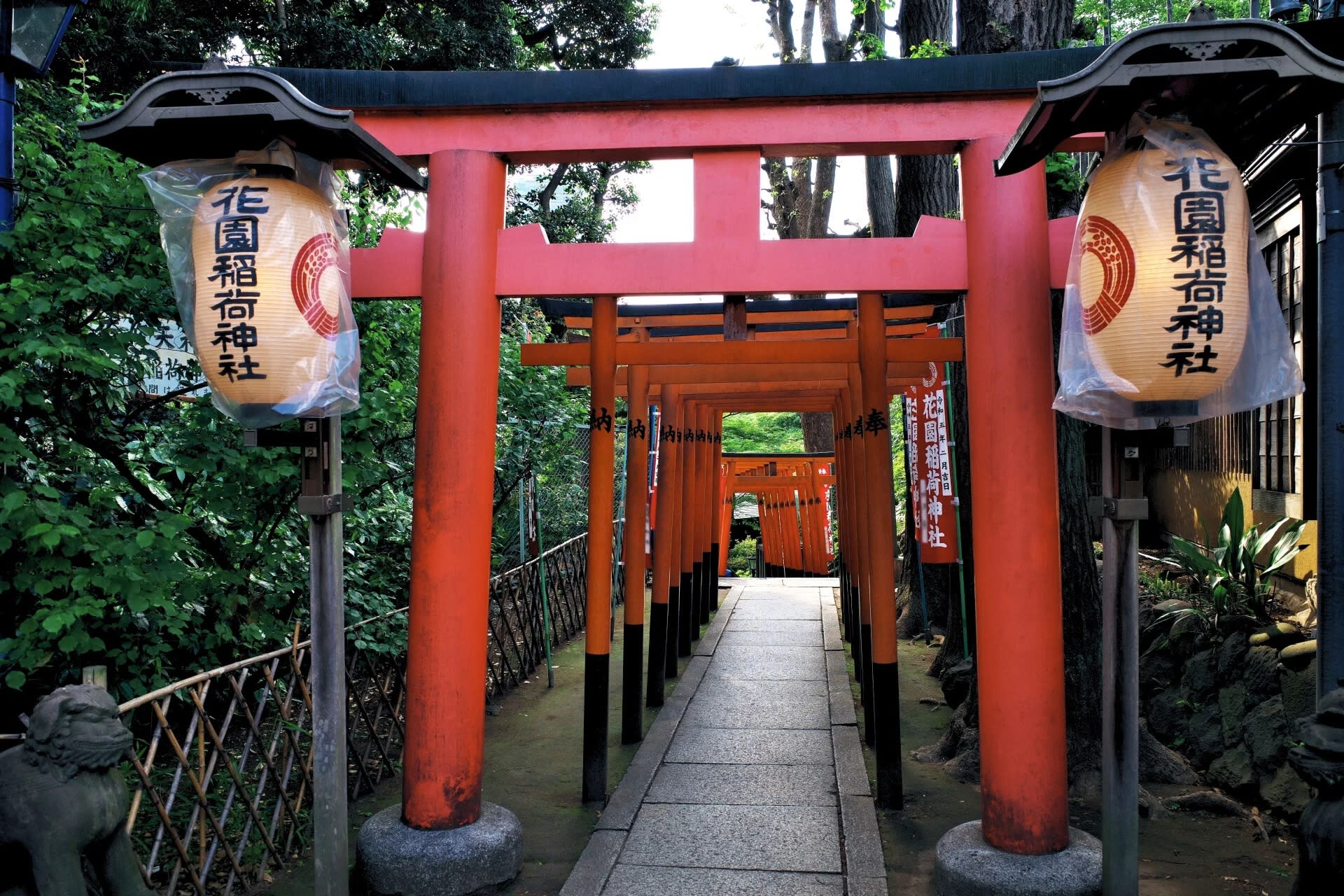 City Exploration Tour in Ueno and Yanaka: Culture, Art and Old Tokyo - Thumbnail 2