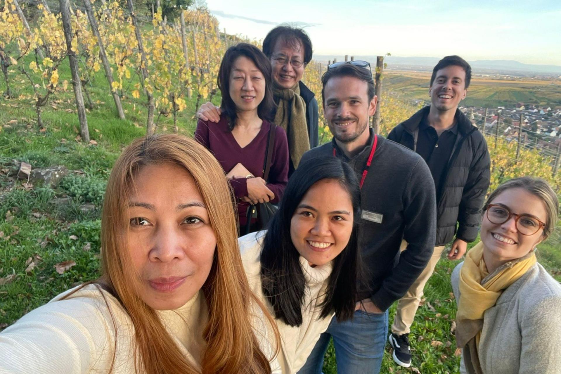 Alsace vineyard tour from Strasbourg - Thumbnail 7