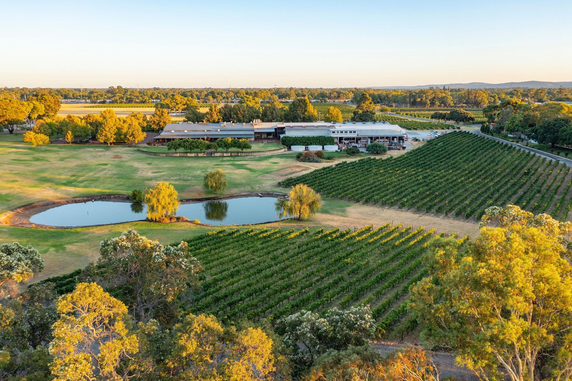 Swan Valley Full-Day Wildlife & Wine Tasting Tour - Image 1
