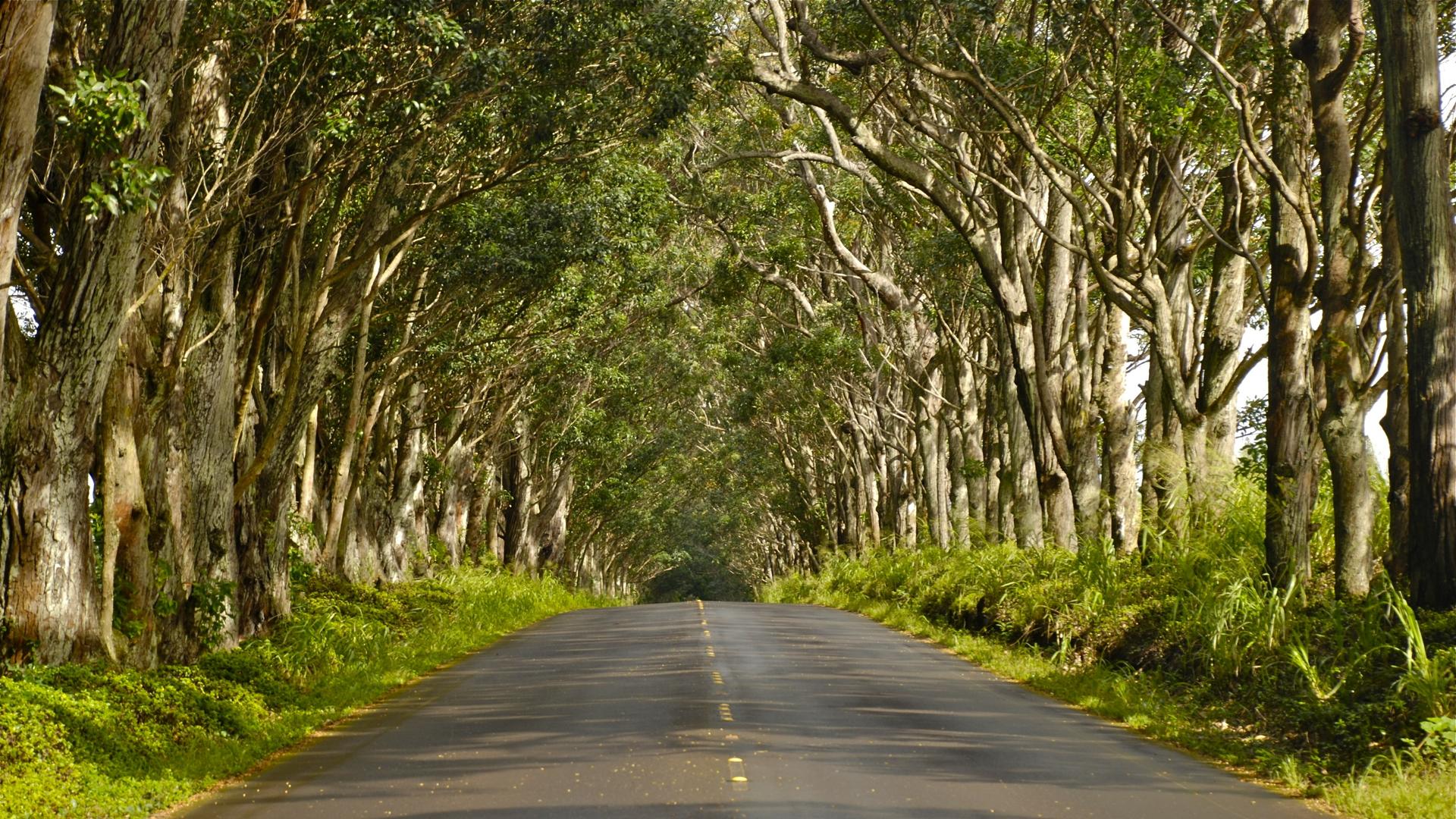 Island of Hawaii (Big Island) Self-Driving Trip - Thumbnail 5