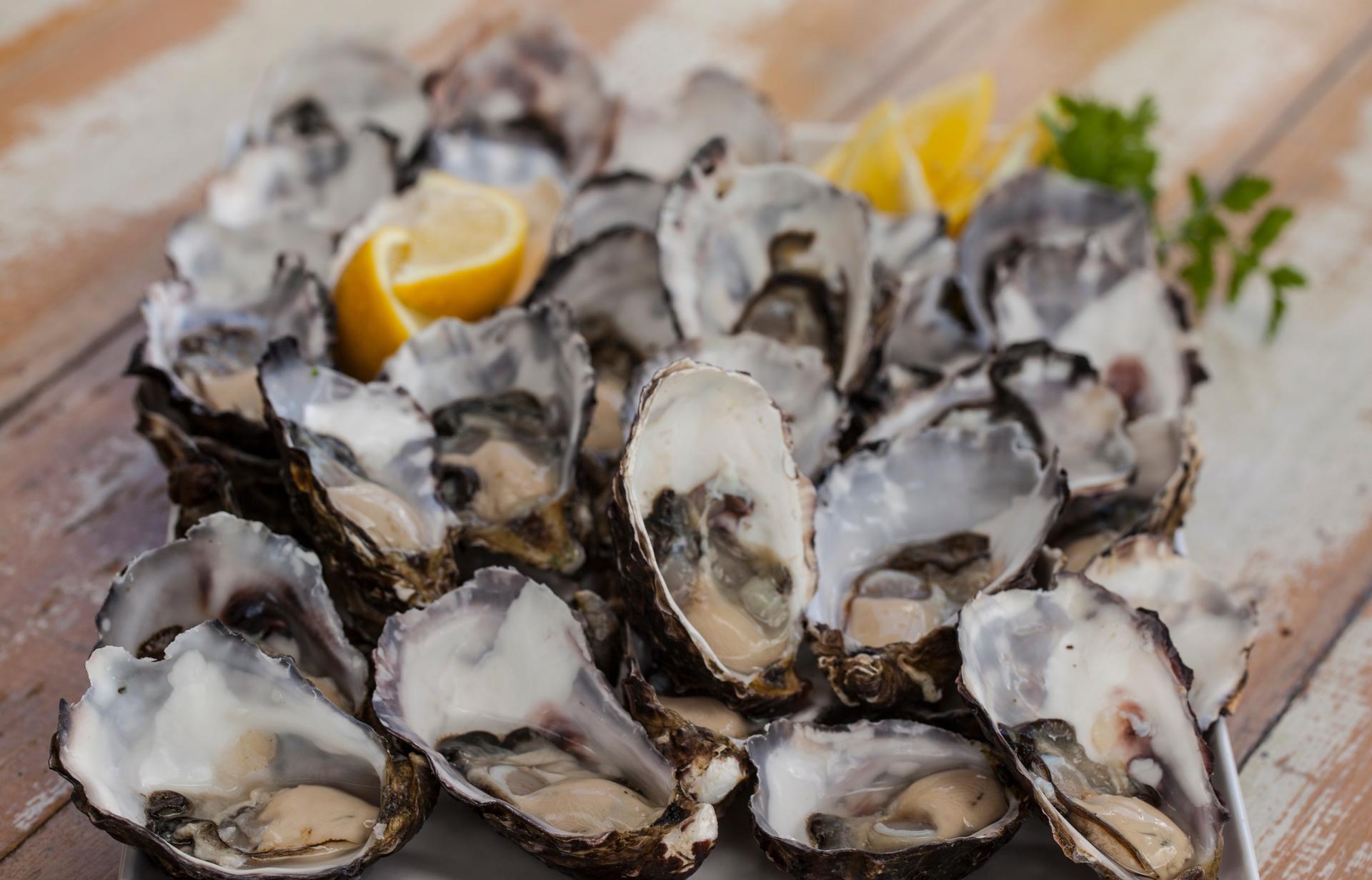Bruny Island Gourmet Full Day Tour - Thumbnail 6