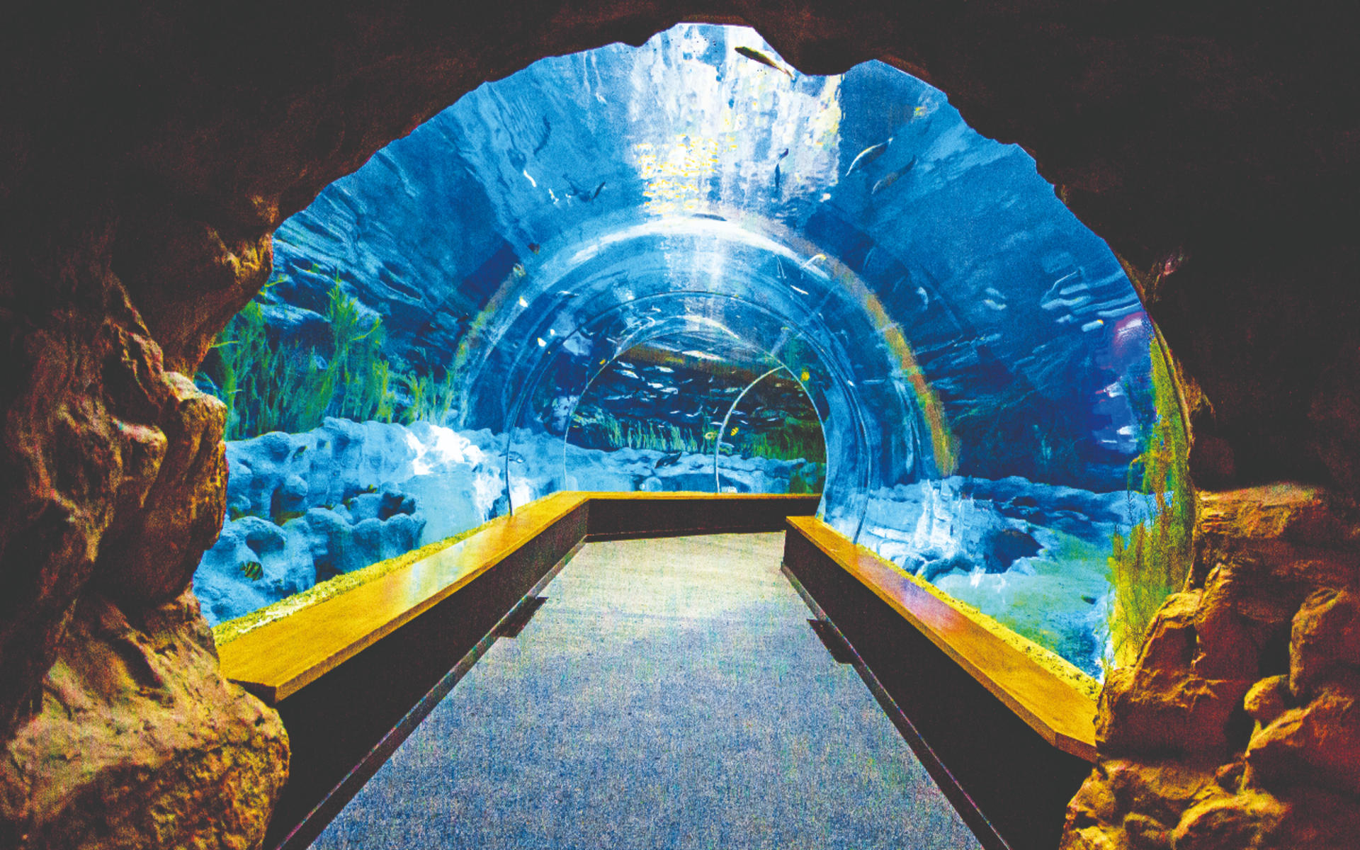Poema del Mar Aquarium Ticket in Spain - Thumbnail 4