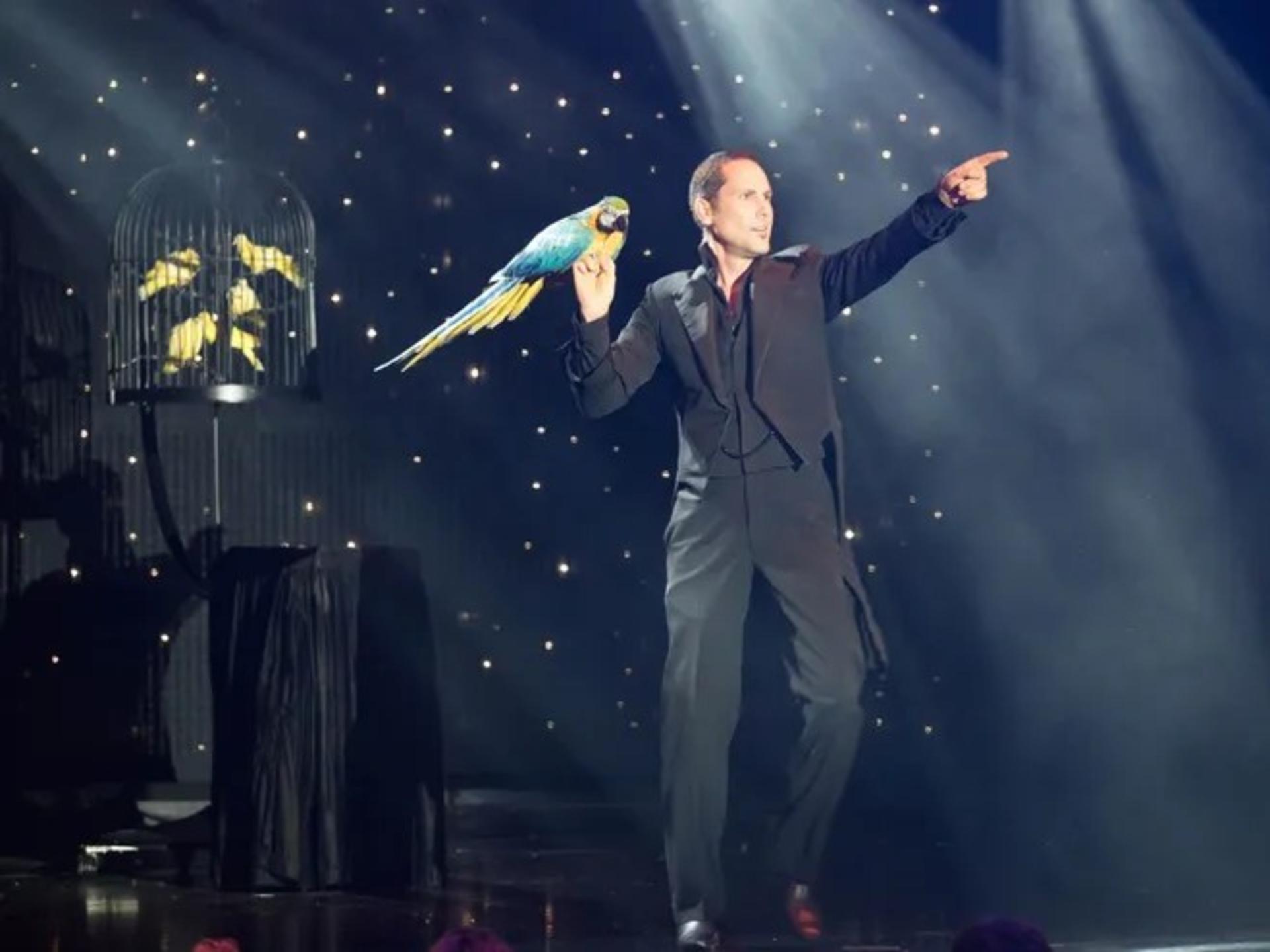 V - The Ultimate Variety Show Ticket in Las Vegas - Thumbnail 7