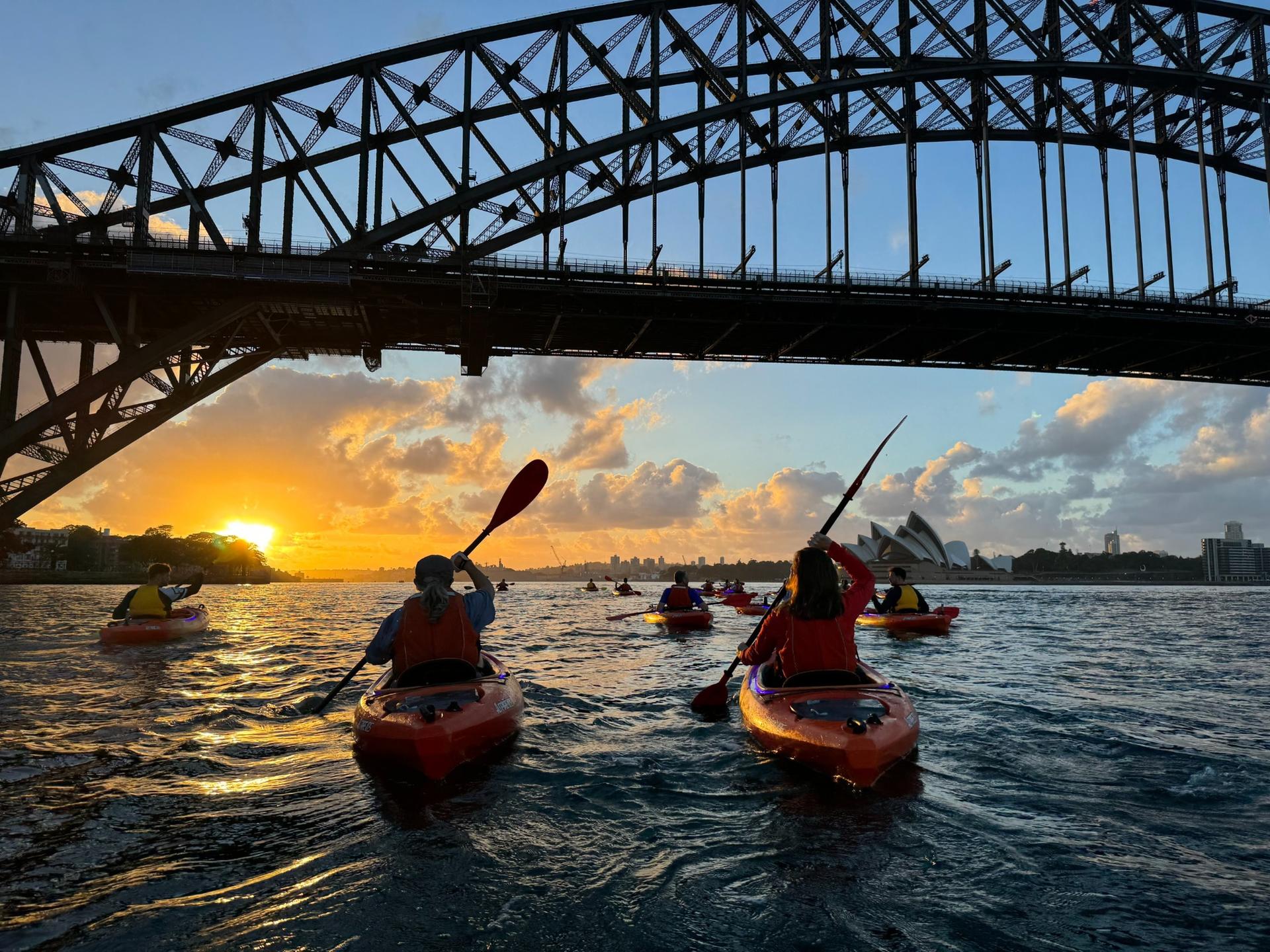 Sunrise Kayak on Sydney Harbour with Breakfast - Image 1