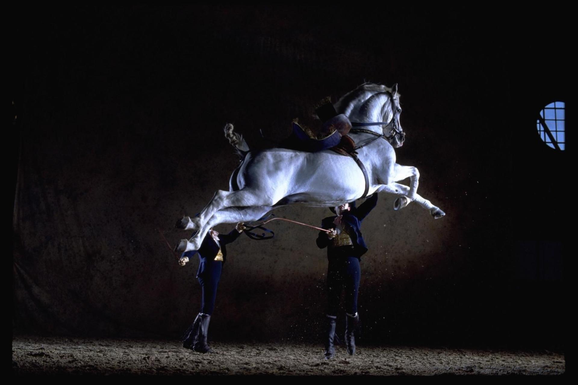 Jerez de la Frontera and Cadiz Day Tour from Seville with Horse Show - Image 1