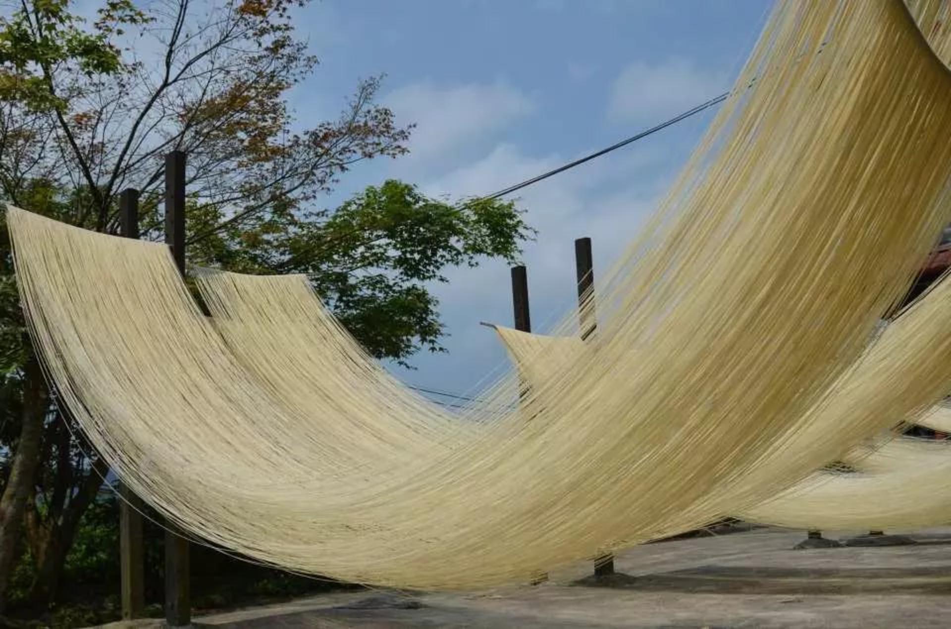 New Taipei | Hsu Family Noodle | Family Experience: Flowing Noodles & Handmade Noodles & Scallion Pancake DIY - Thumbnail 2
