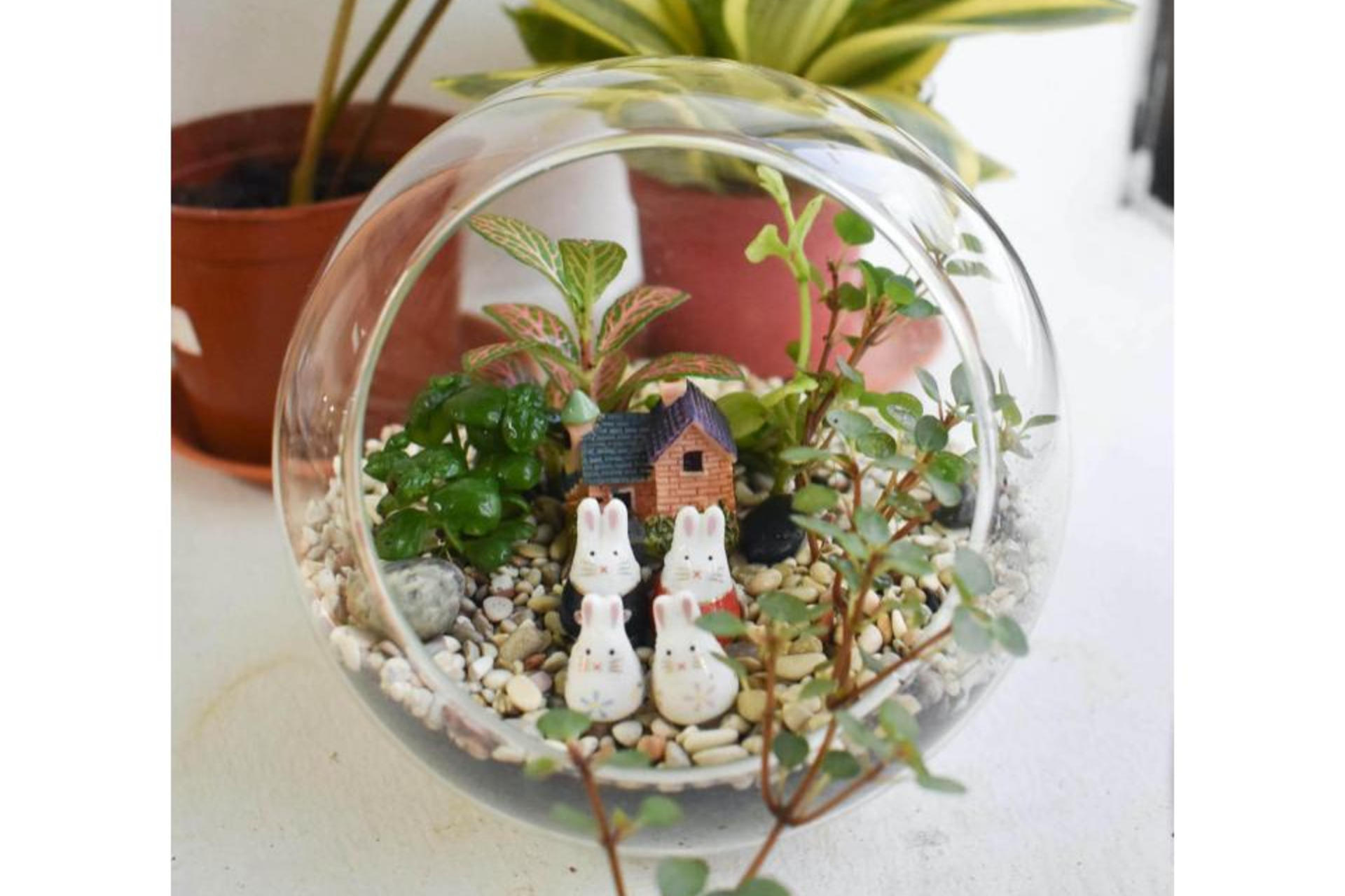 Terrarium Workshop in Marymount - Thumbnail 6