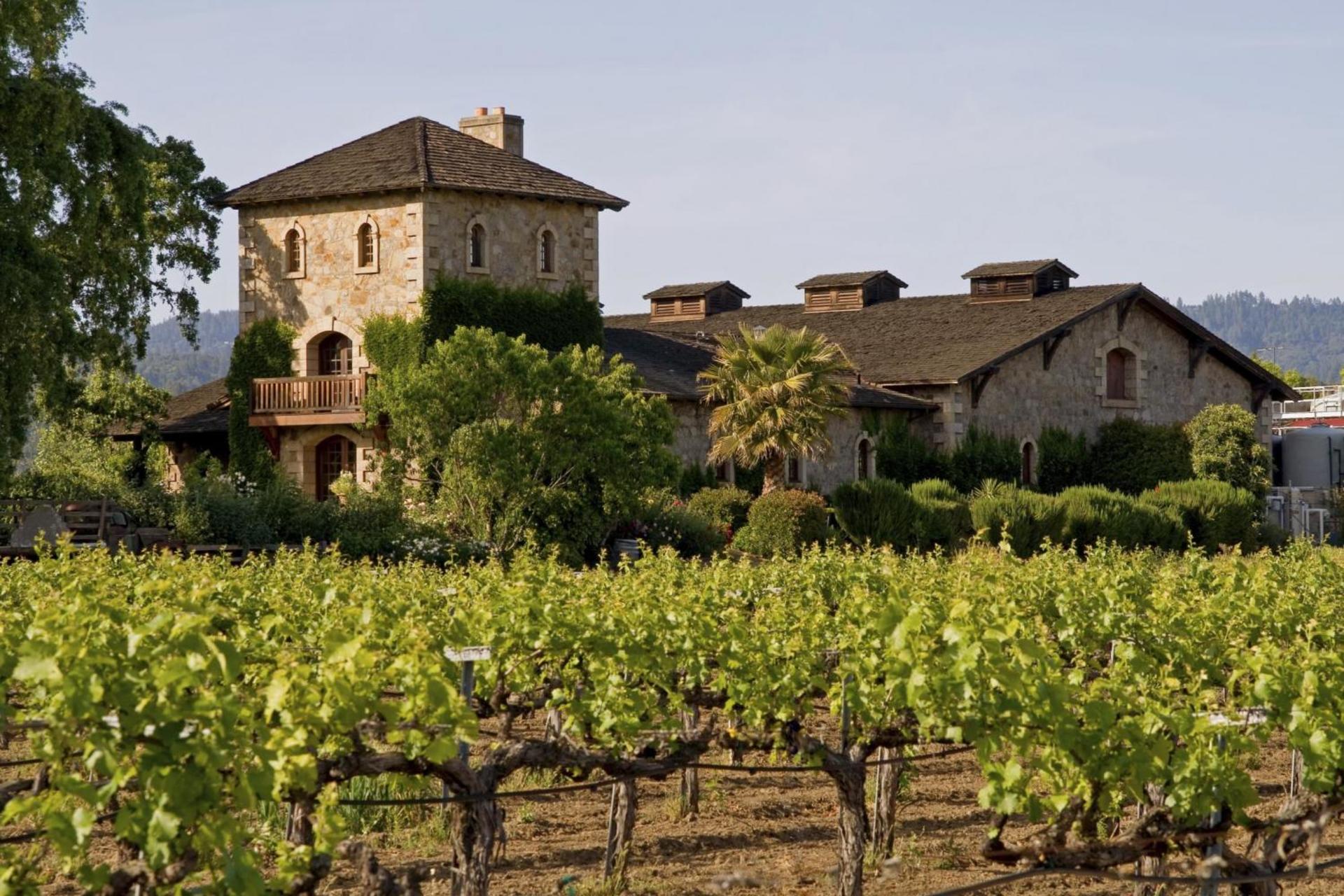 Napa Valley and Sonoma Full Day Wine Tour - Thumbnail 2
