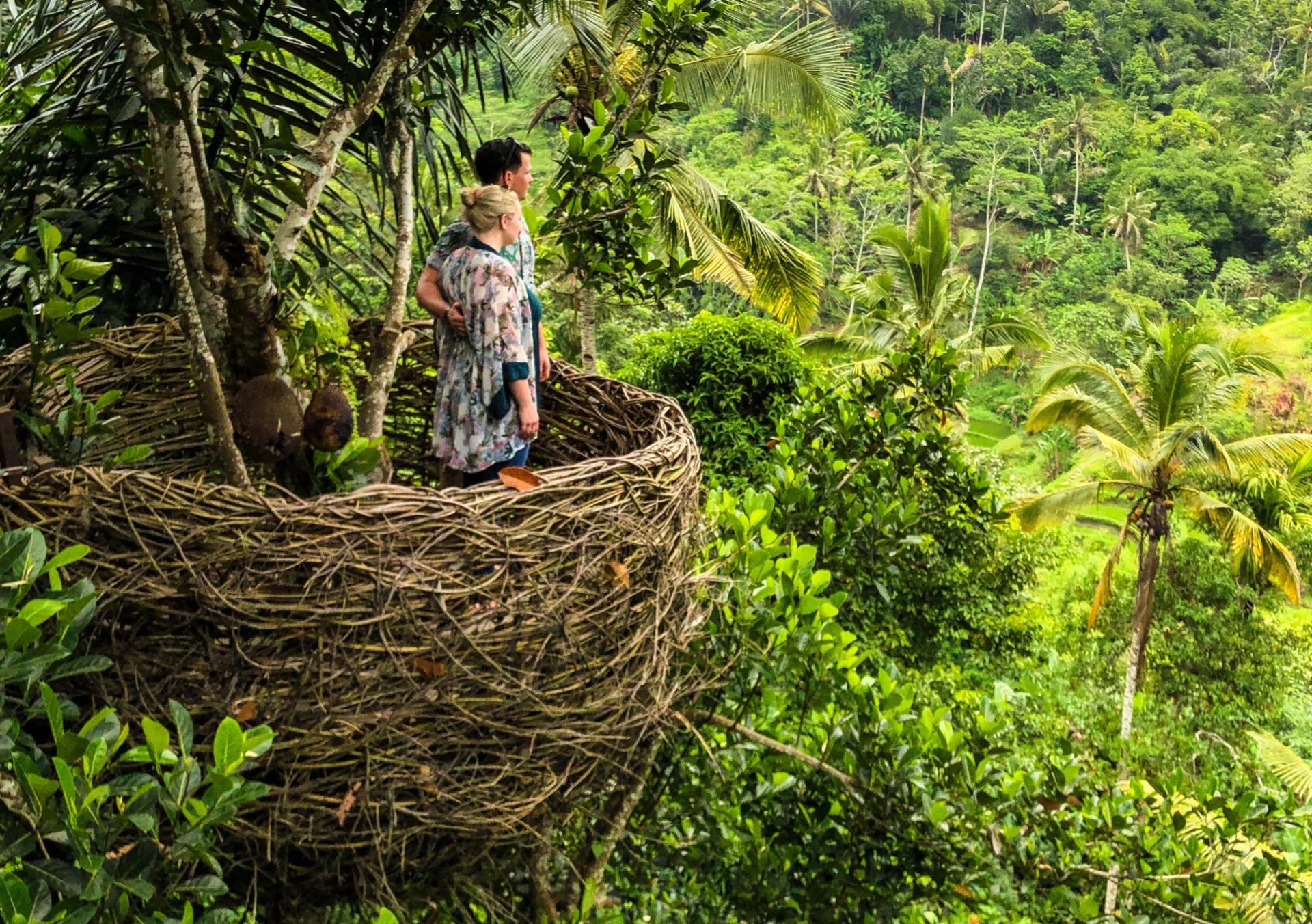Ubud All-Inclusive Private Day Tour - Thumbnail 3