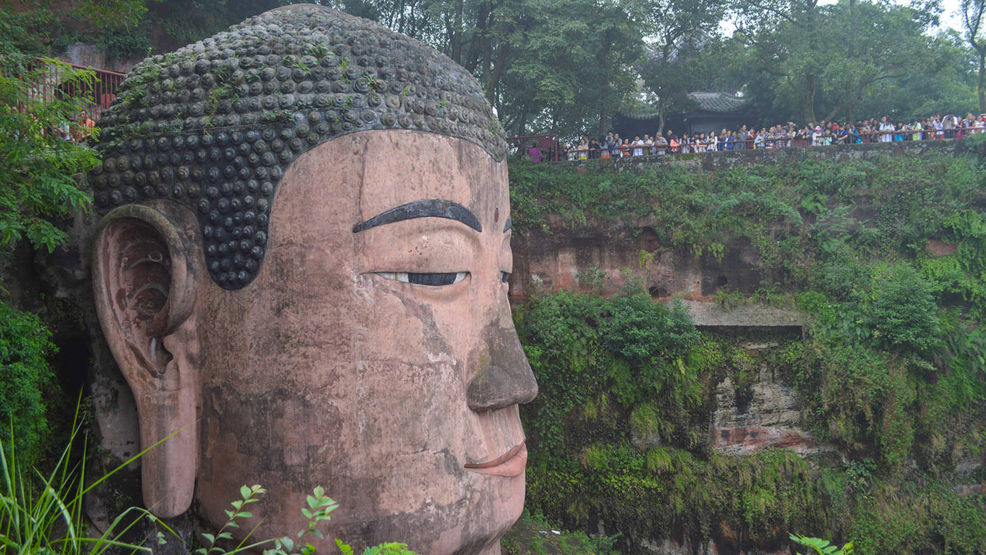 Giant Panda Breeding Research Base + Leshan Giant Buddha Private Day Tour (From Chengdu) - Thumbnail 9