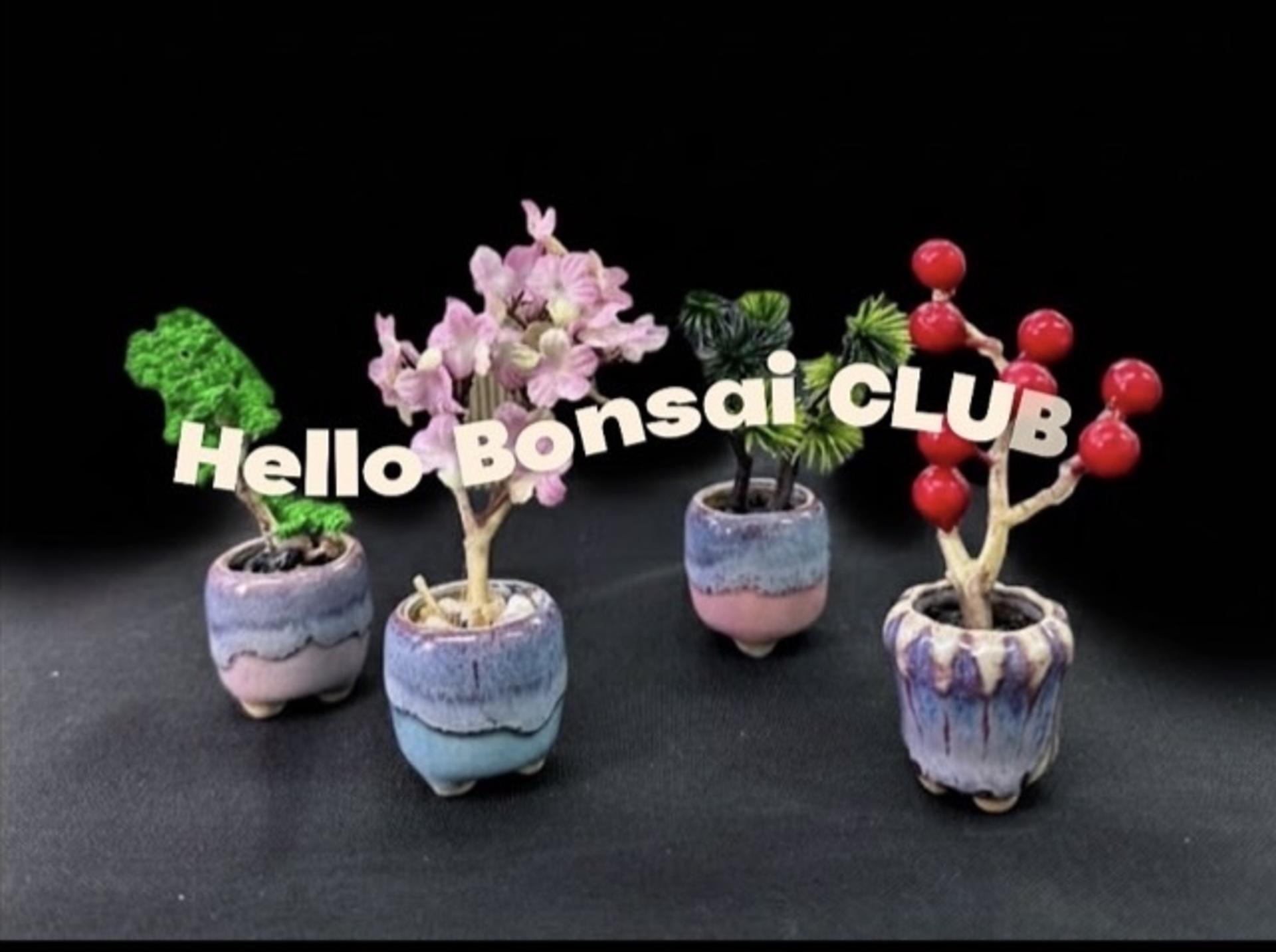 Kyoto:Make Your Own Mini Bonsai Workshop – Take It Home - Thumbnail 4