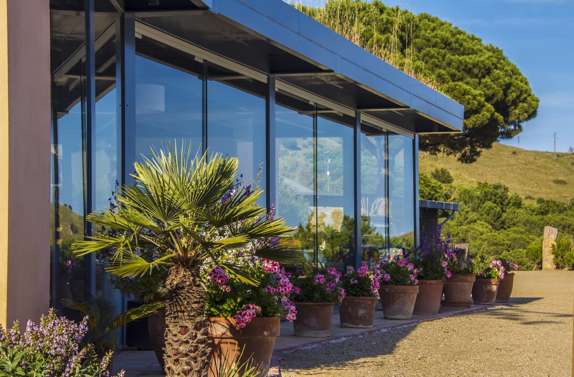 Cruise, Vineyard and Wine Tasting Tour from Barcelona - Thumbnail 11