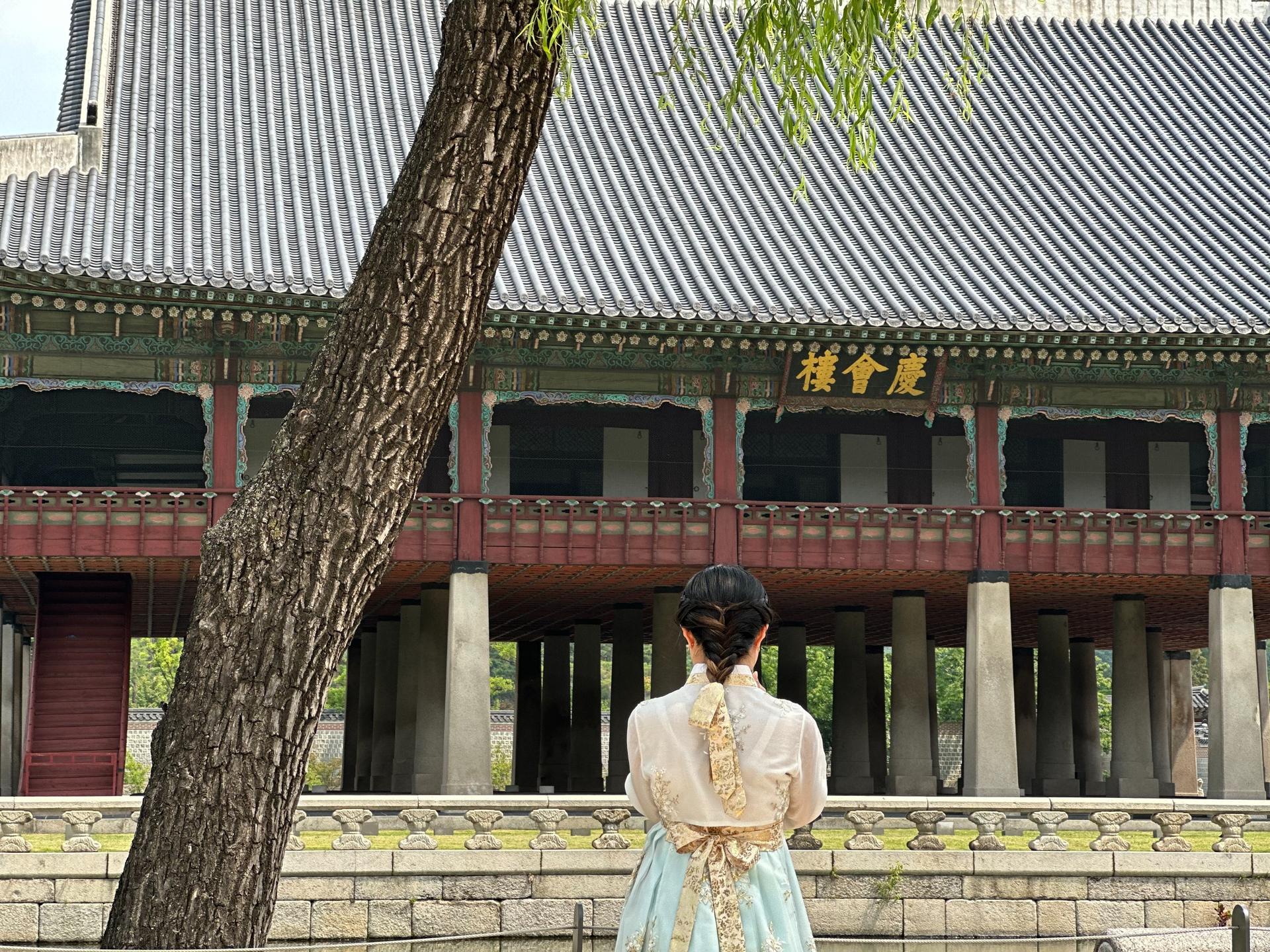 Private & Customer Tours with Tour Guide in Seoul - Image 1