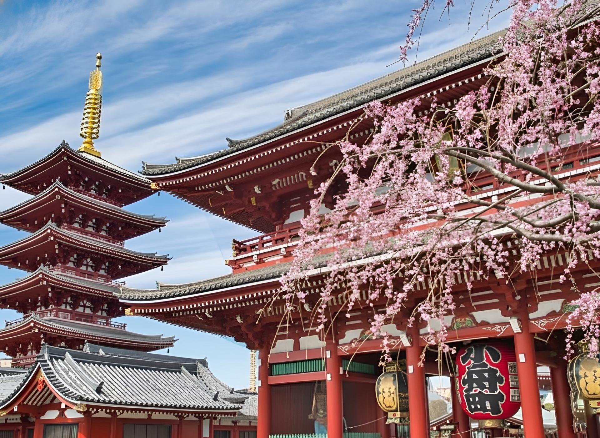 Tokyo: Asakusa, Senso-ji temple & Shrine Walking Tour - Thumbnail 10
