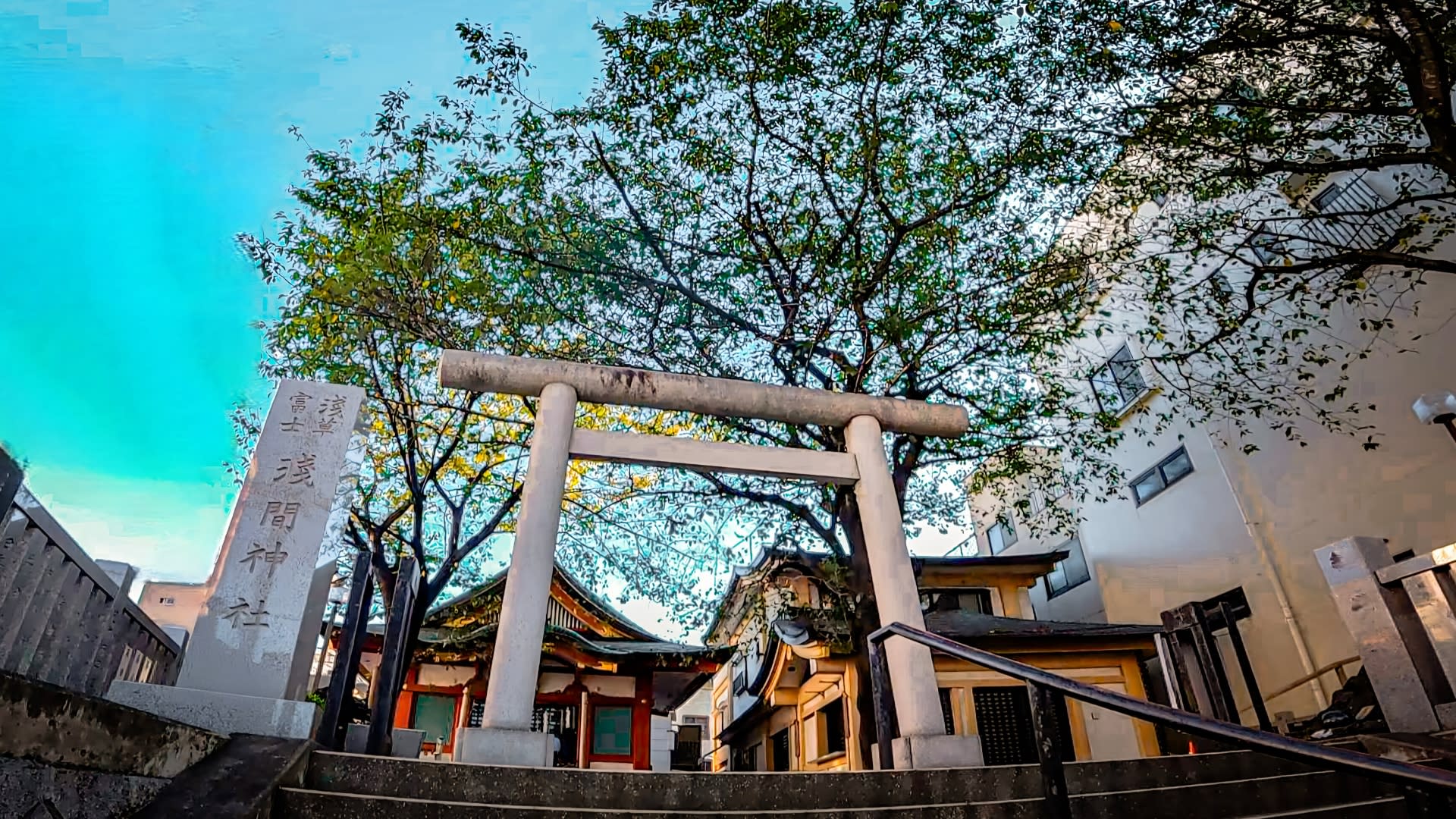 Tokyo, Asakusa Sensoji, Imado Shrine Goshuin Walking Tour - Thumbnail 5