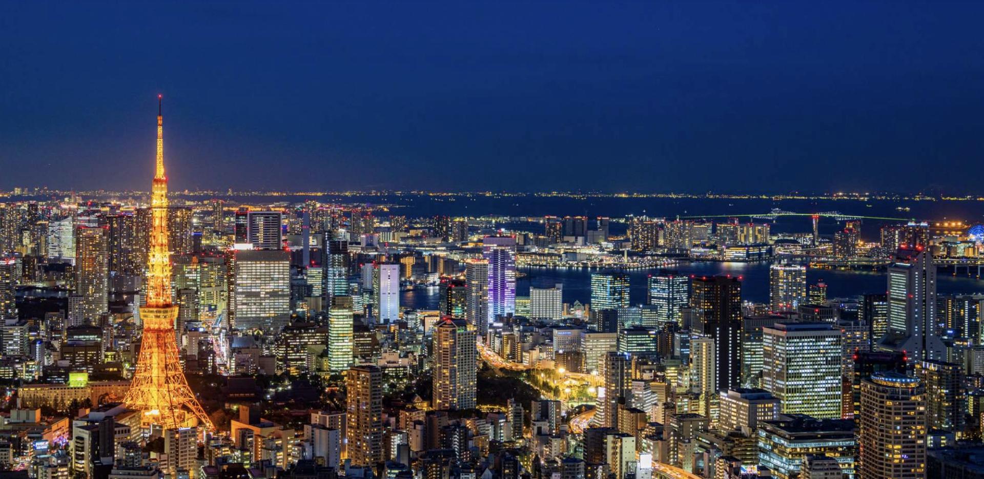 Tokyo Private Chartered Car Day Tour (Customizable Itinerary) - Image 1