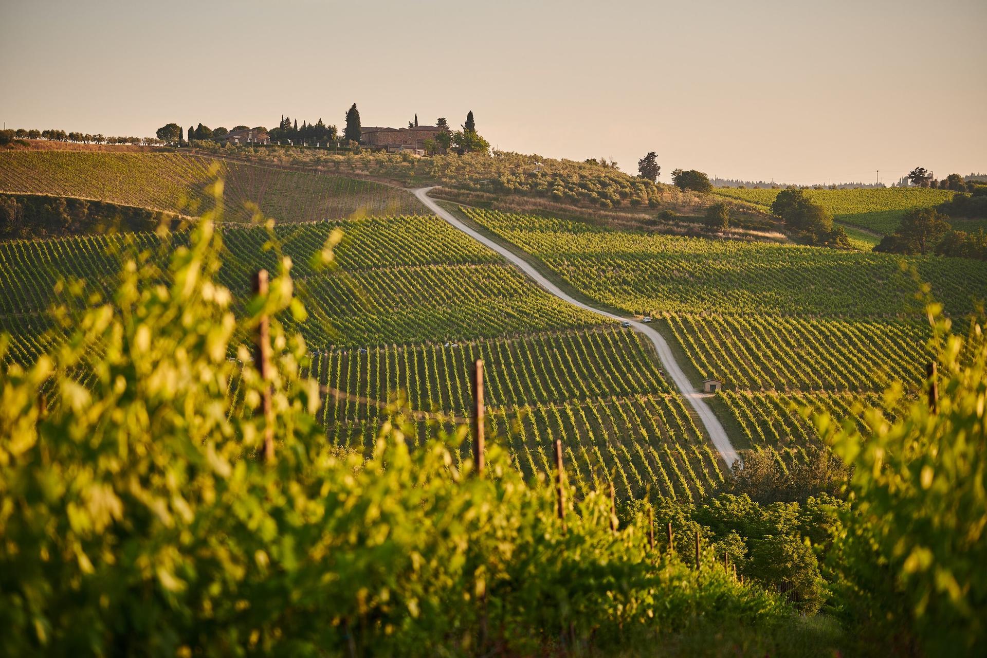 San Gimignano, Siena & Chianti Day Trip with Lunch and Wine Tasting - Thumbnail 15