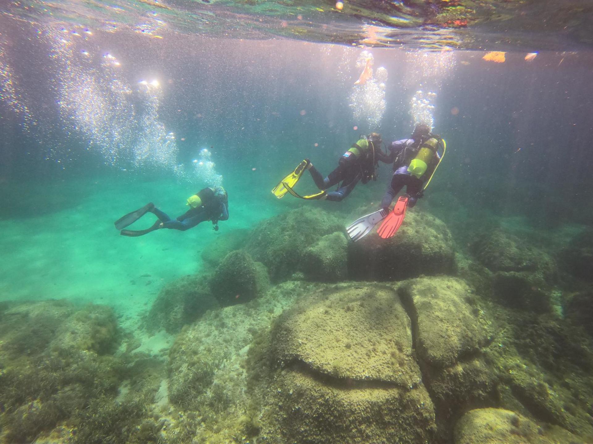 Porto Pollo's Dive Discovery: Initiate Scuba Diving with PADI Center - Thumbnail 3