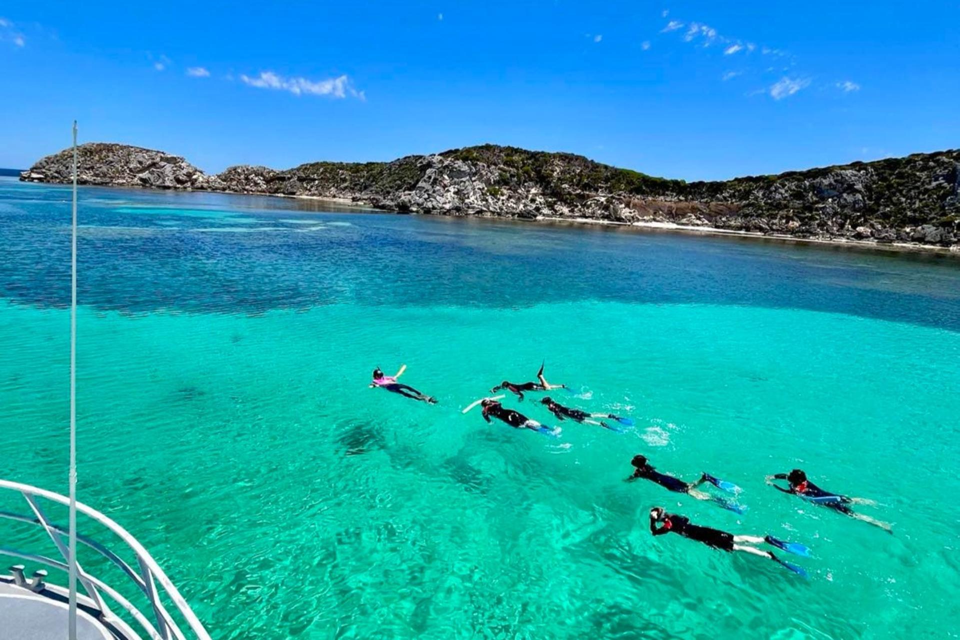 Rottnest Island Guided Snorkelling Tour - Thumbnail 7