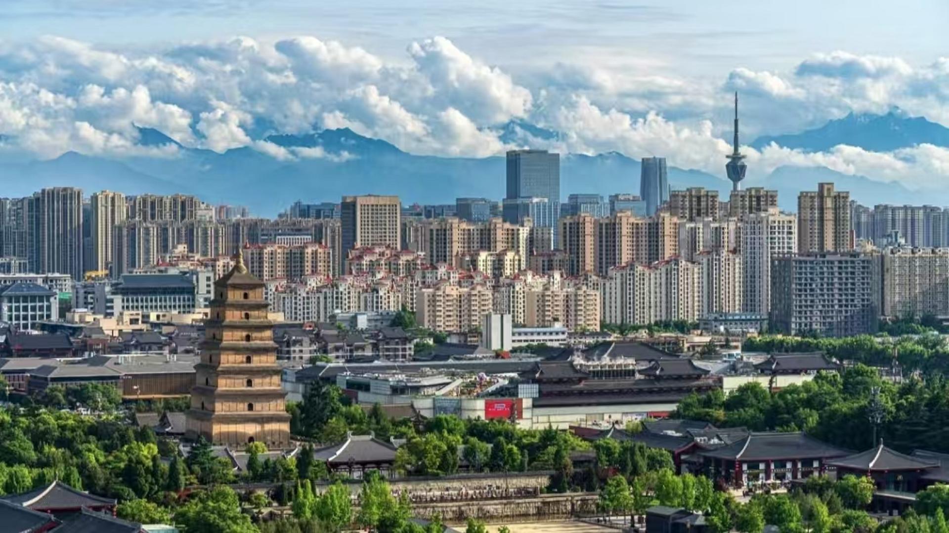 Xi'an Giant Wild Goose Pagoda and City Wall One-Day Tour - Image 1