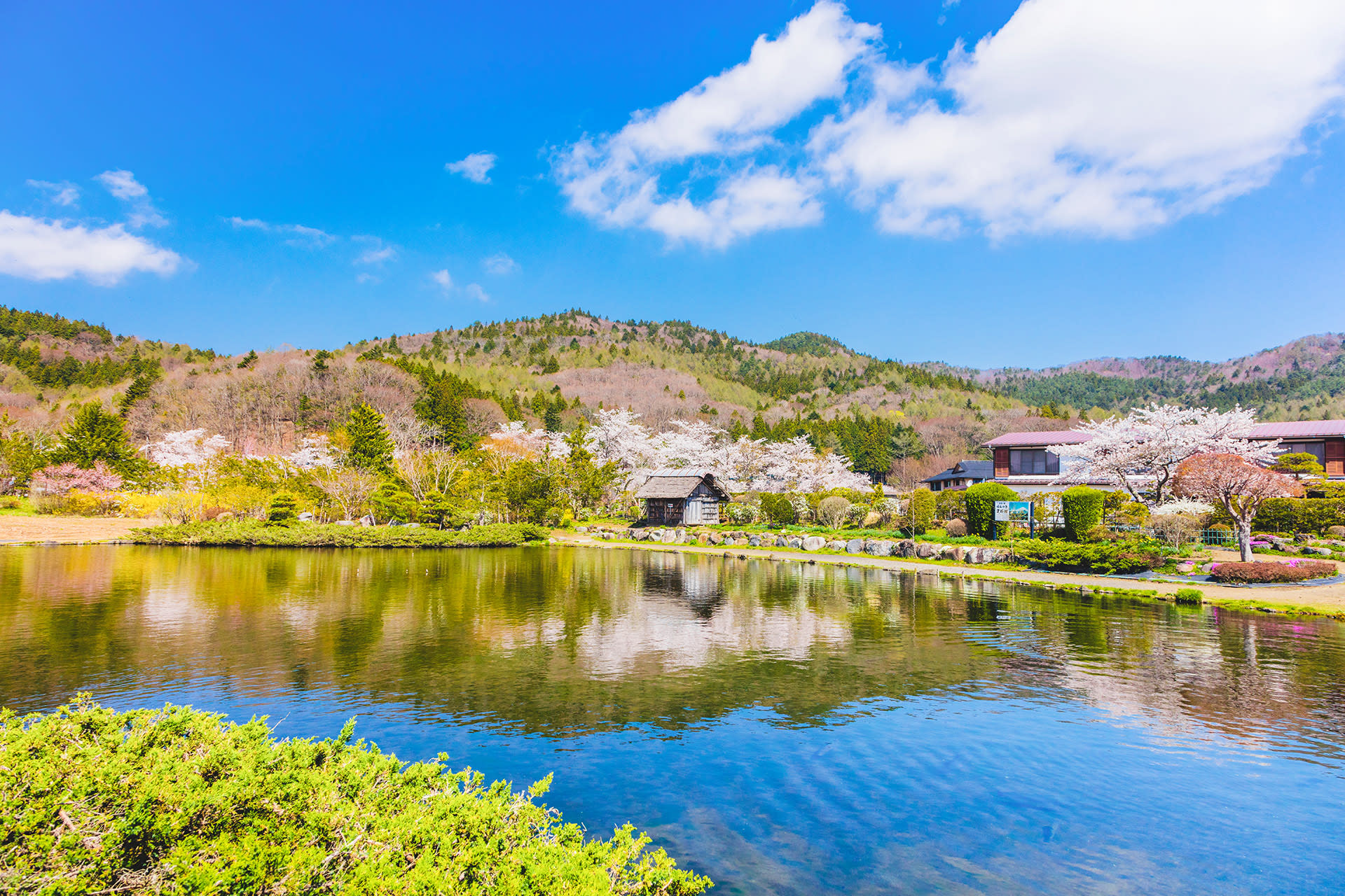 Mount Fuji Brilliant Scenery One-Day Tour (Departing from Tokyo) - Thumbnail 32
