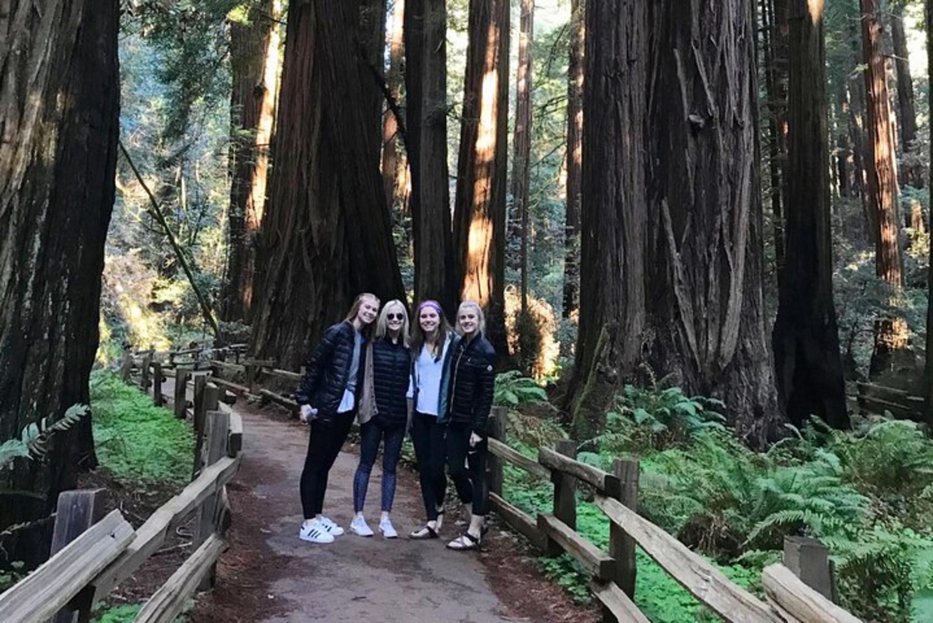 Private Full Day -Muir Woods, Sausalito & San Francisco Tour (max 6) - Thumbnail 2
