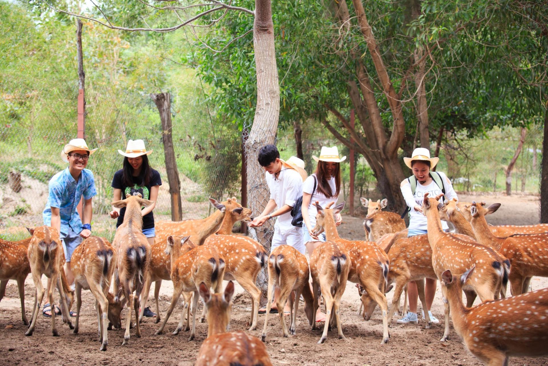 Orchid Island Ticket in Nha Trang - Thumbnail 3