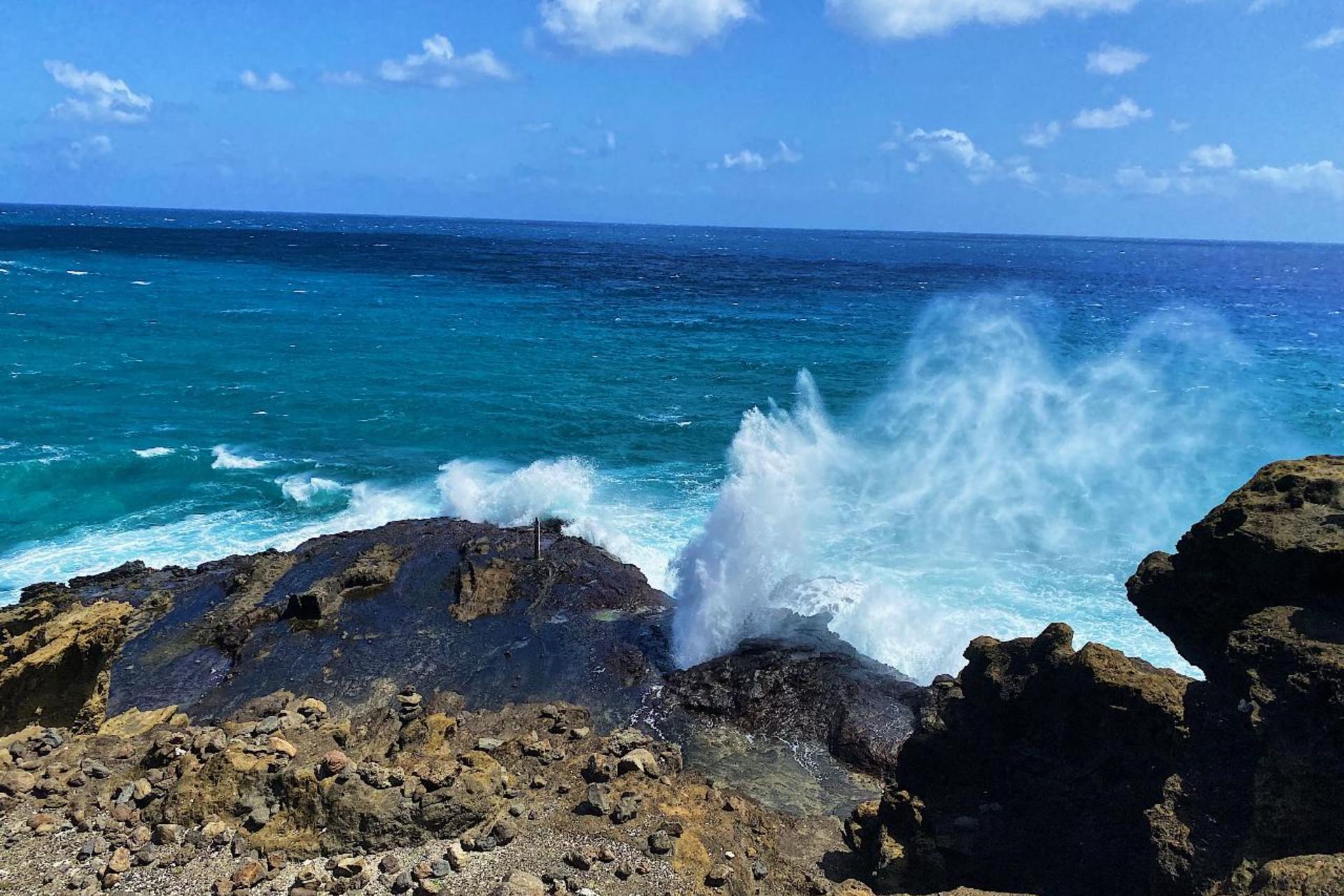 Diamond Head Crater Hiking, Oahu Island, and North Shore Tour - Thumbnail 8
