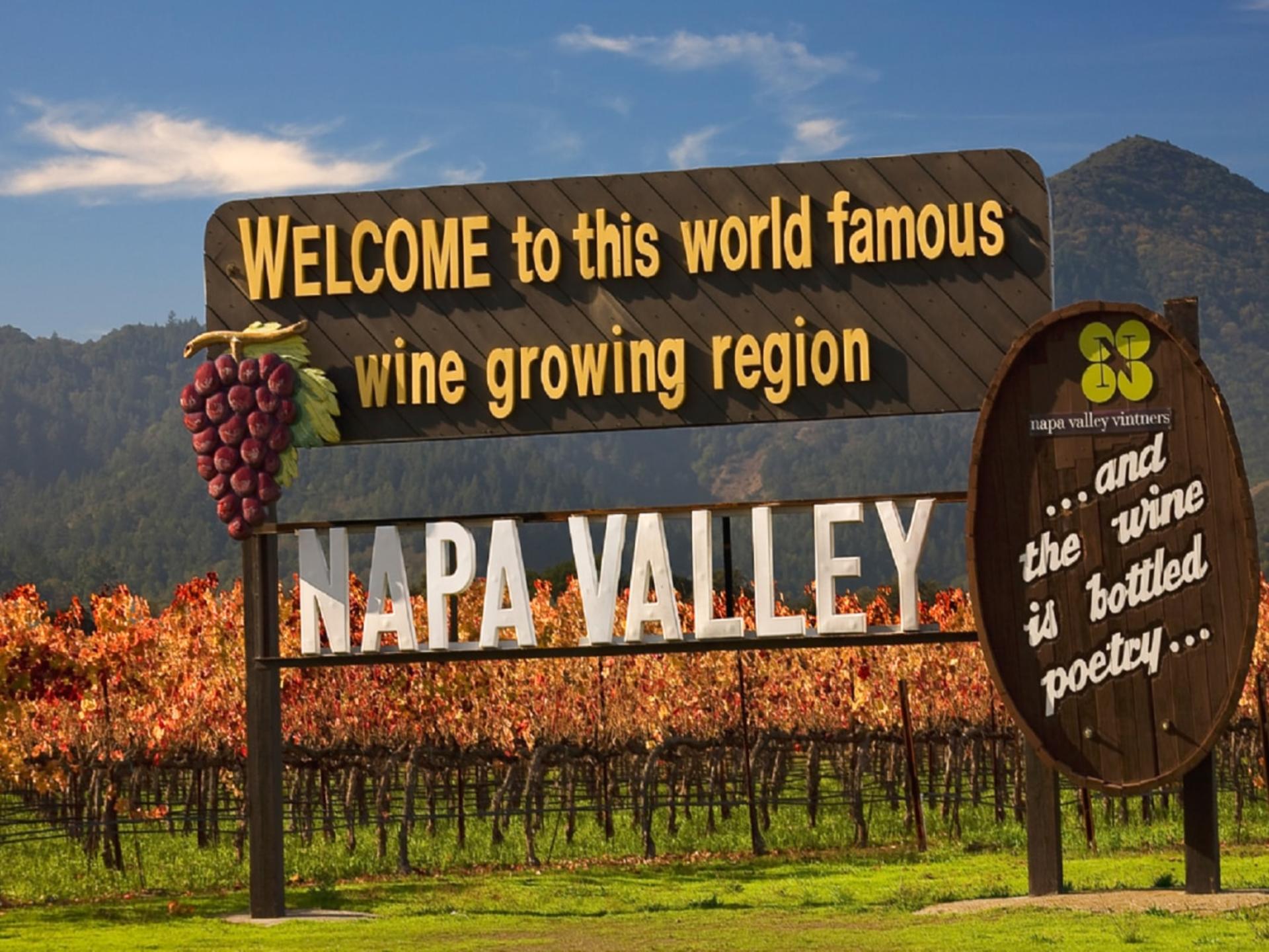 Napa Valley Wine and Food Tasting Tour from San Francisco - Thumbnail 5