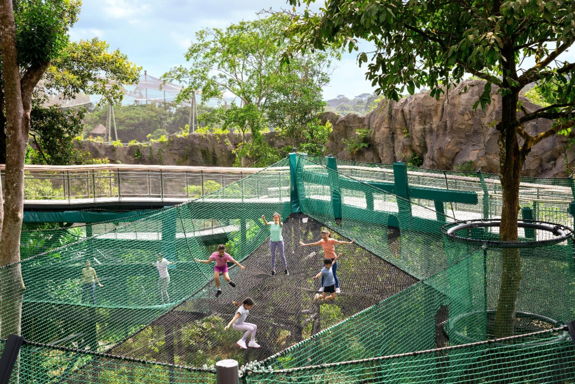 Rainforest Wild Adventure Ticket | Mandai Wildlife Reserve, Singapore - Thumbnail 9