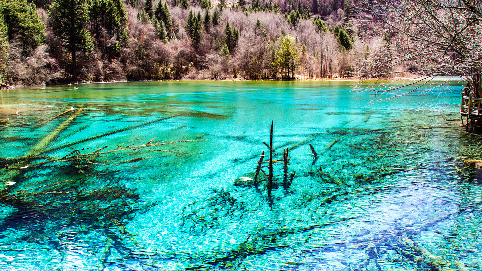Jiuzhaigou/Huanglong 1-Day Chartered Car (Including High-Speed Rail Station Transfer) - Thumbnail 3