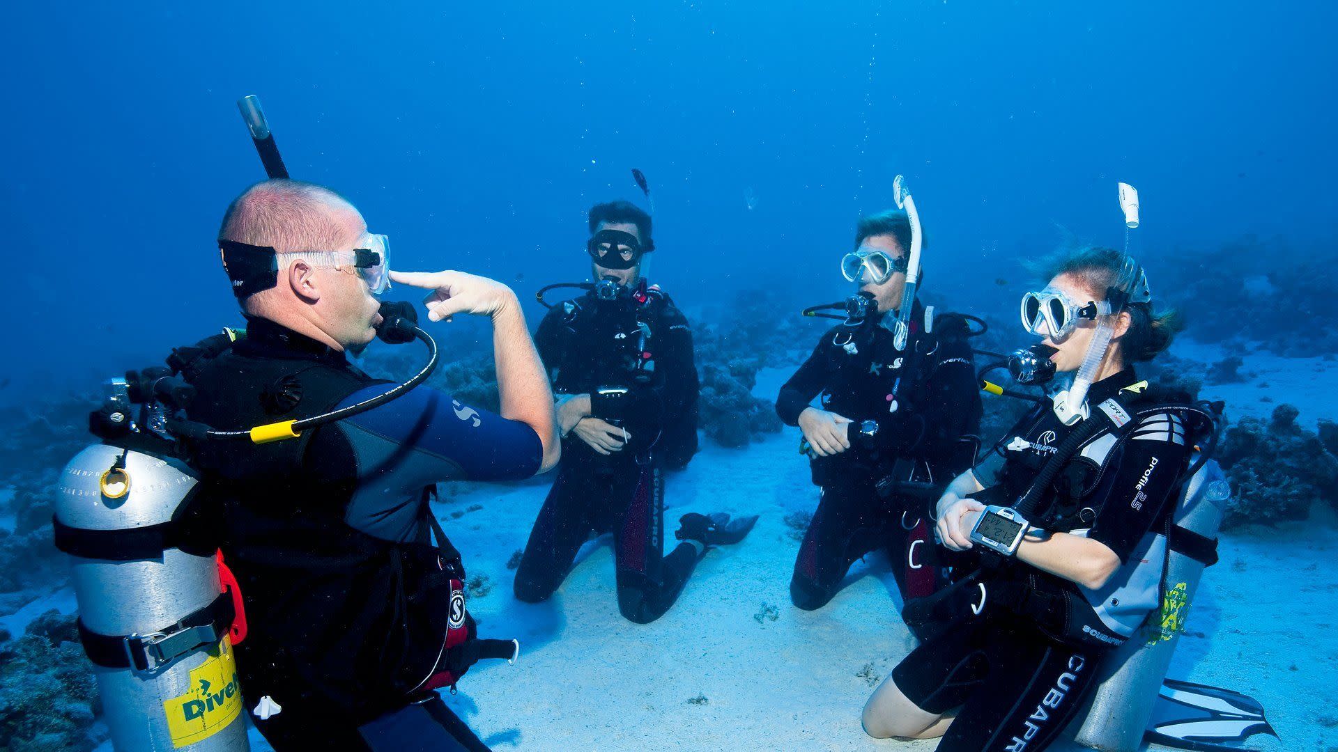 Scuba Diving in Fethiye with Lunch & Roundtrip Transfer  - Thumbnail 12
